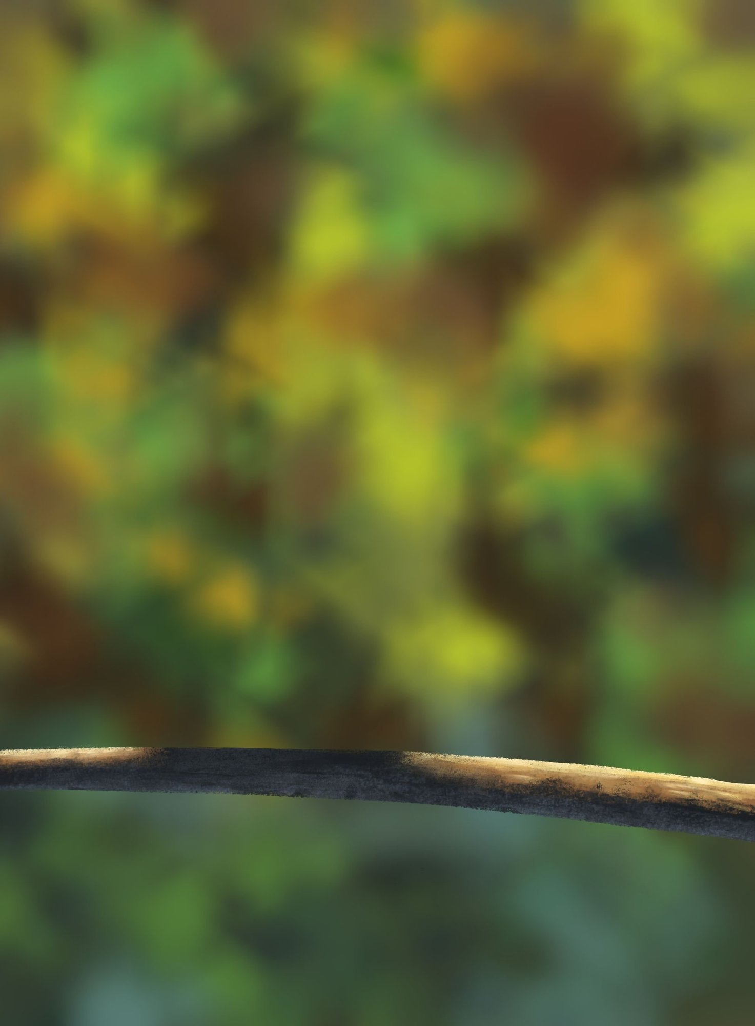 Exercice 5 - Branche.jpg