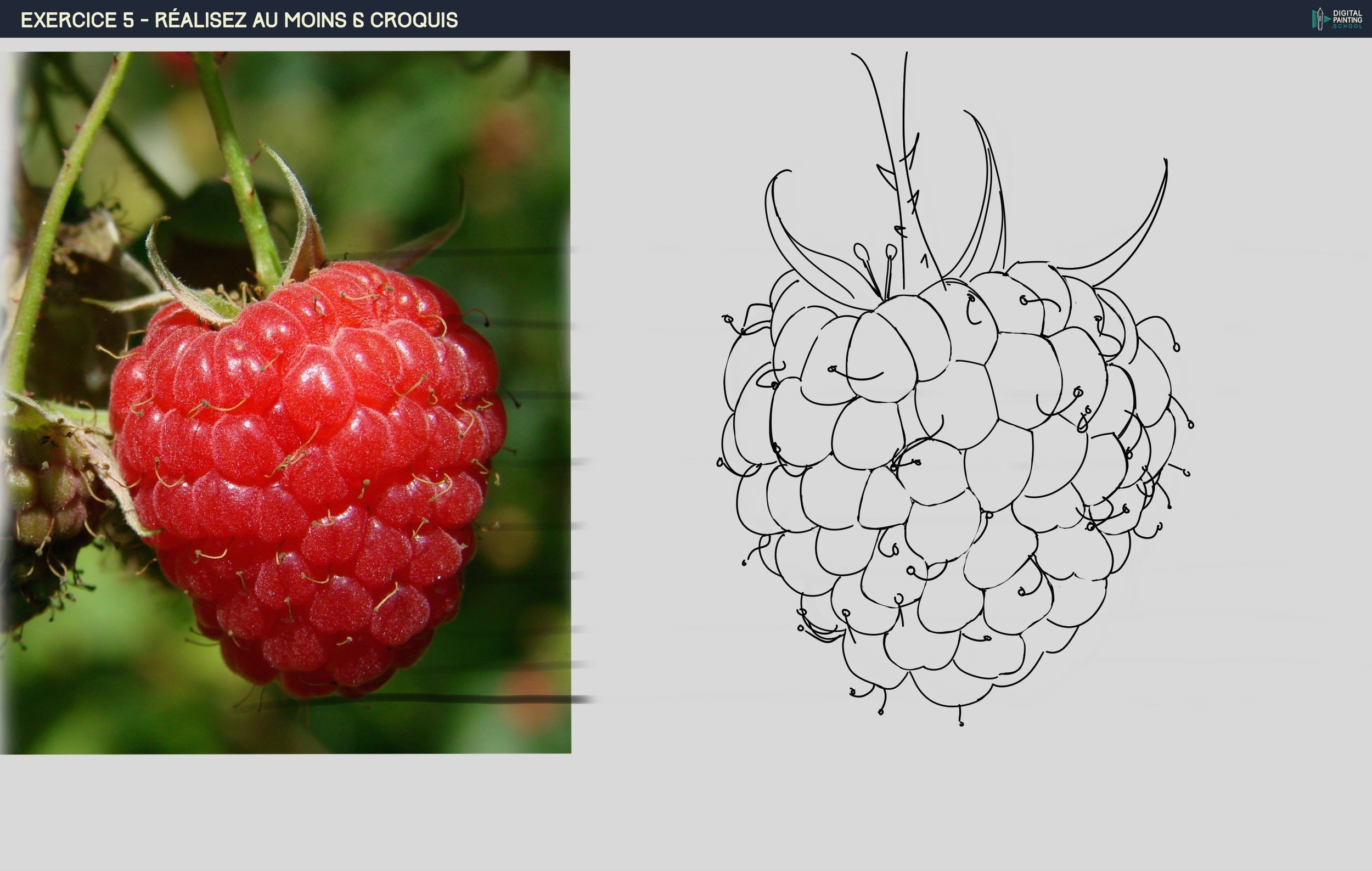 exercice 5 framboise 3.jpg