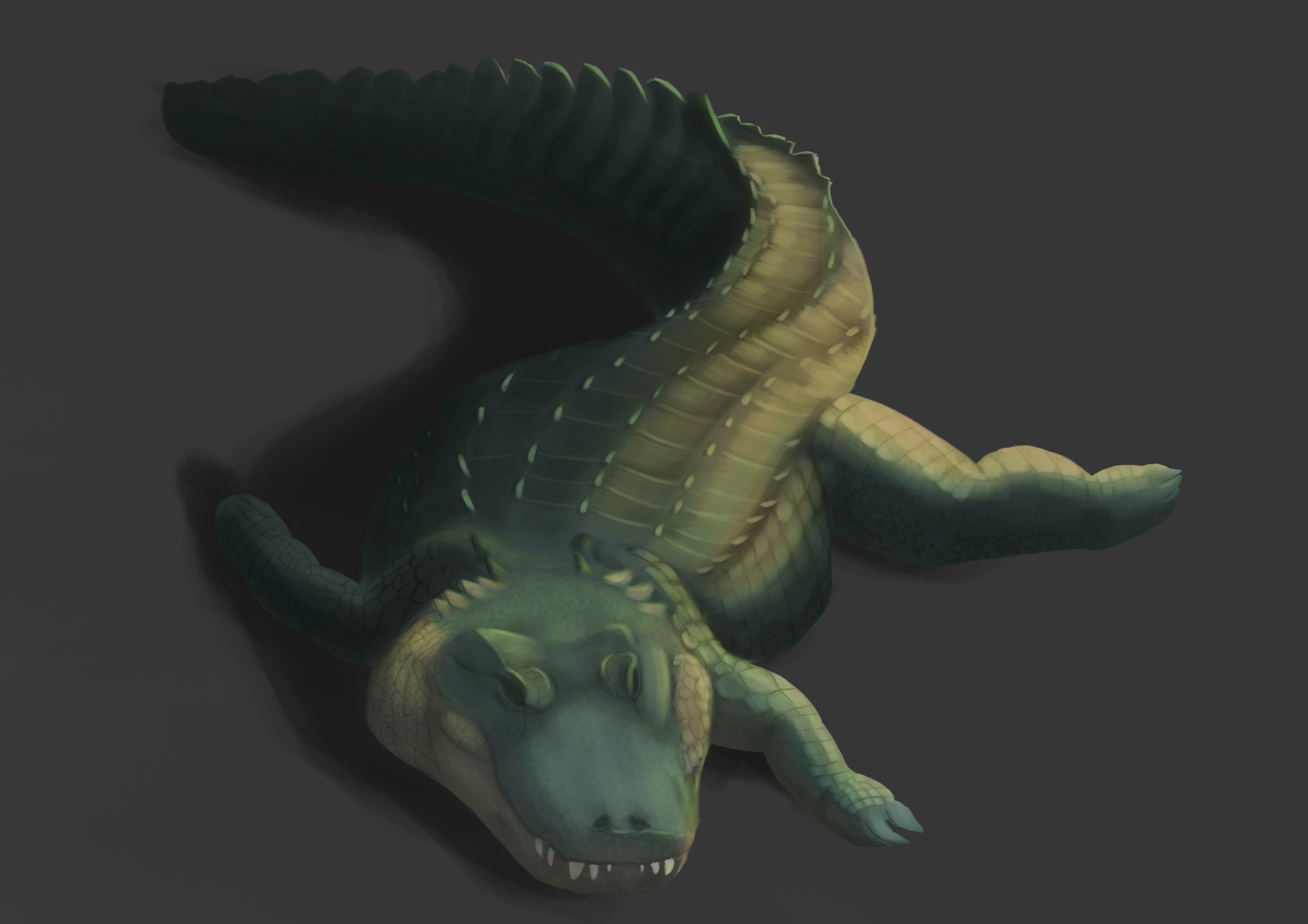 aligator.png