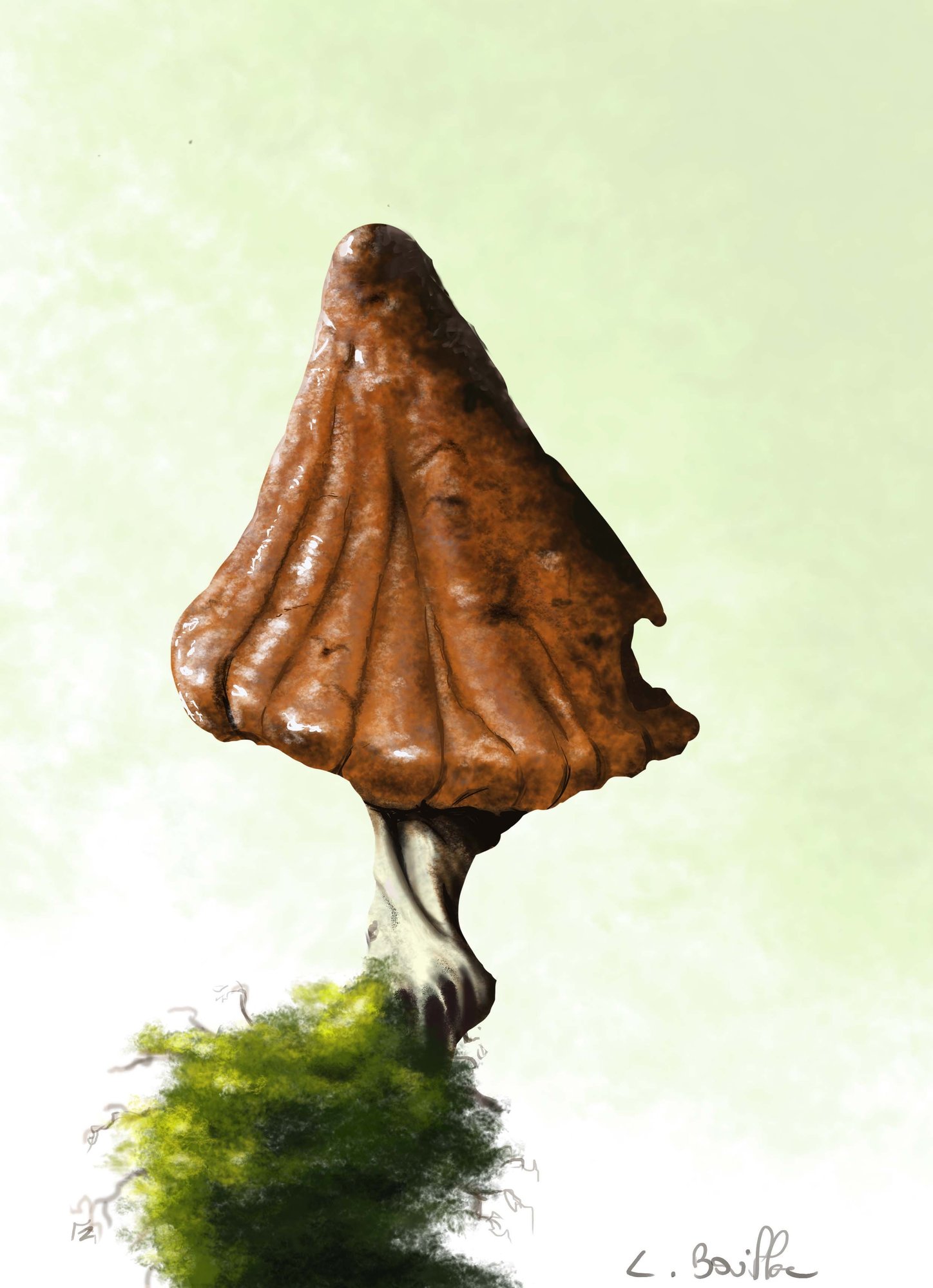 champignon.jpg