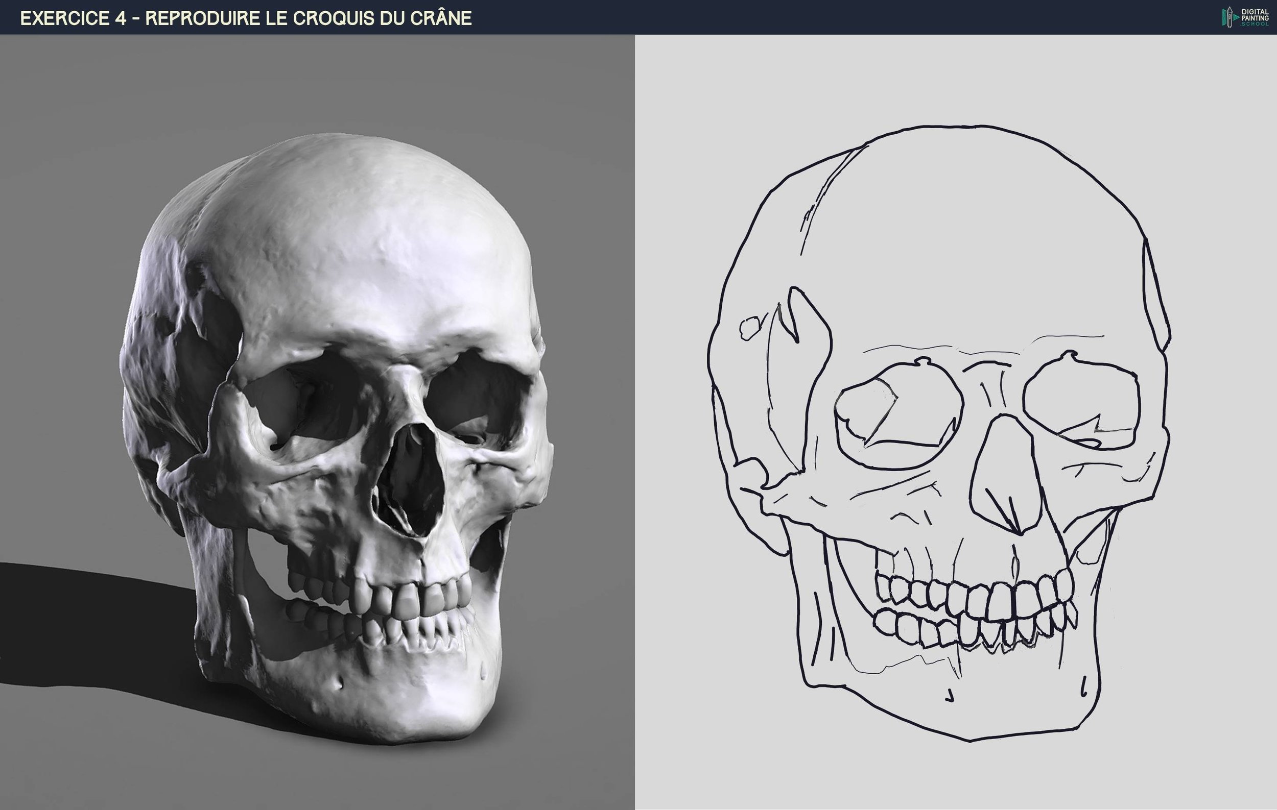 DPS-Prog-1-2-2-démo-crane-croquis fafa.jpg