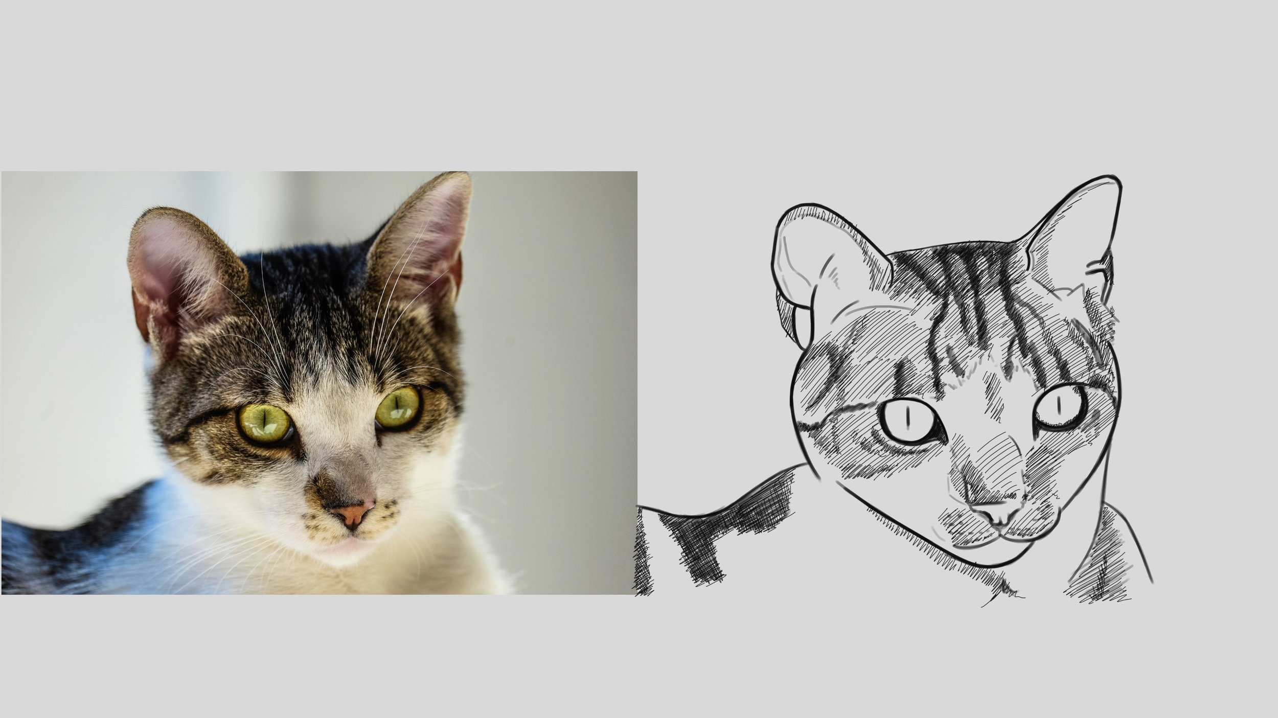 DPS-Prog-1-2-exercice5_2 copie.jpg