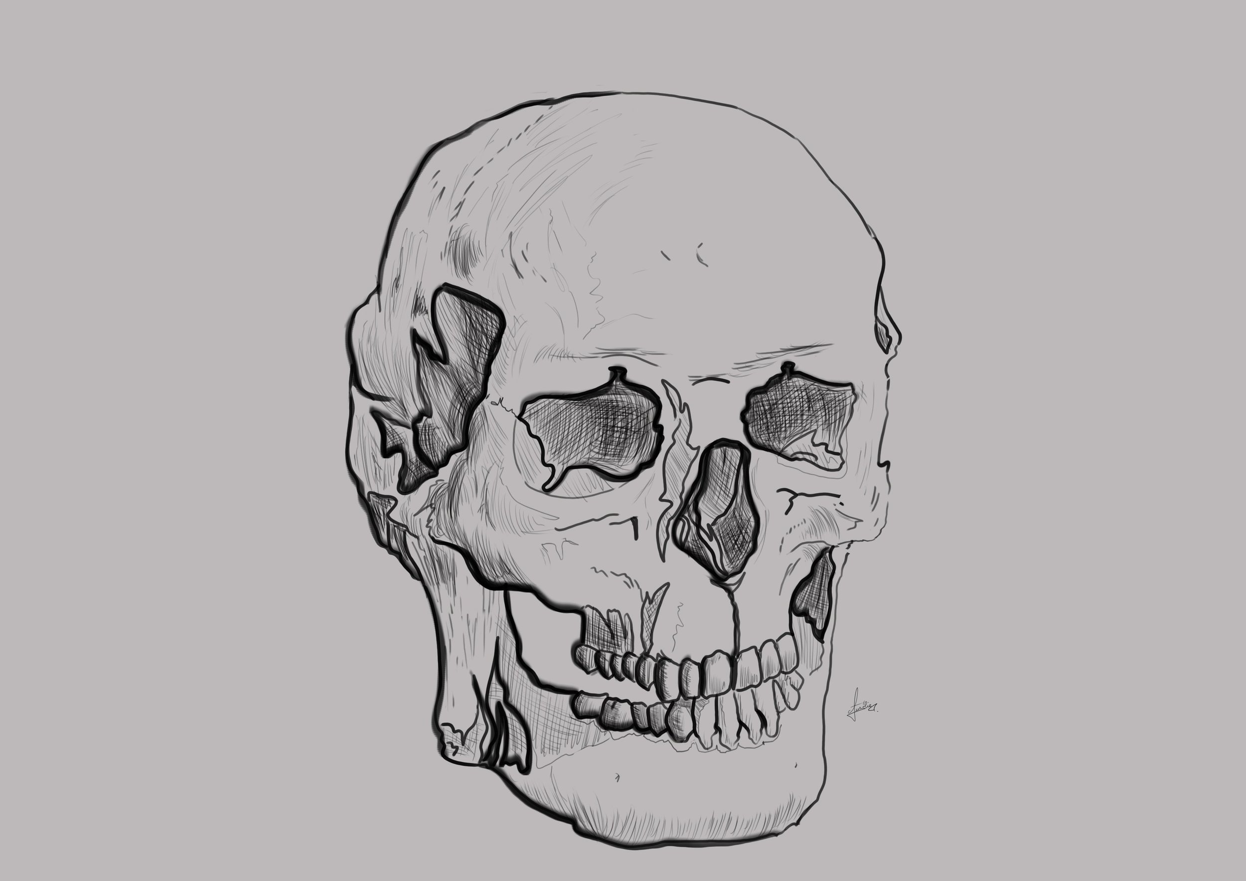 Crâne exercice croquis Aurélie Teixeira 09-12-2021.jpg