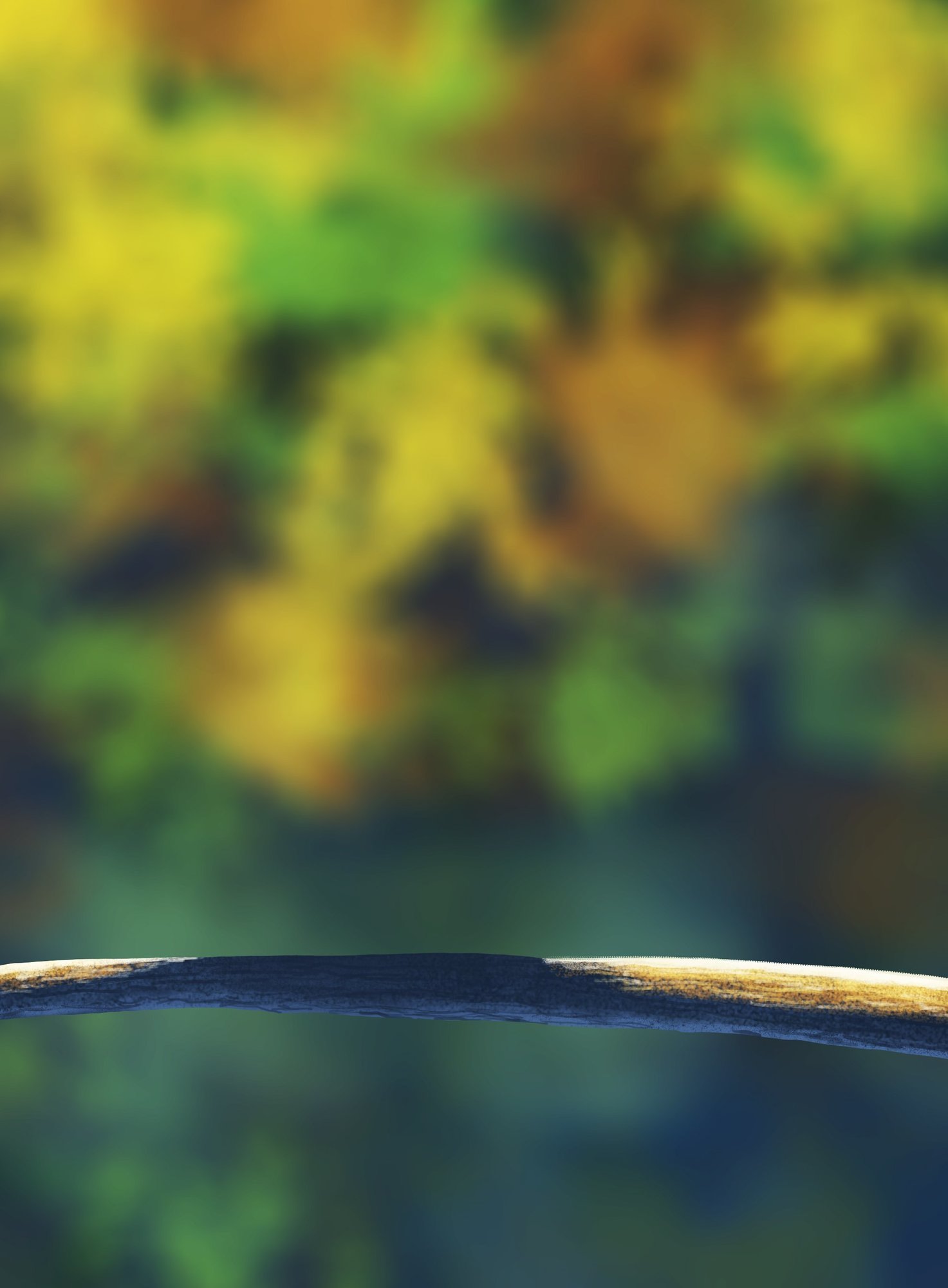 oisillons branche MK 2.jpg