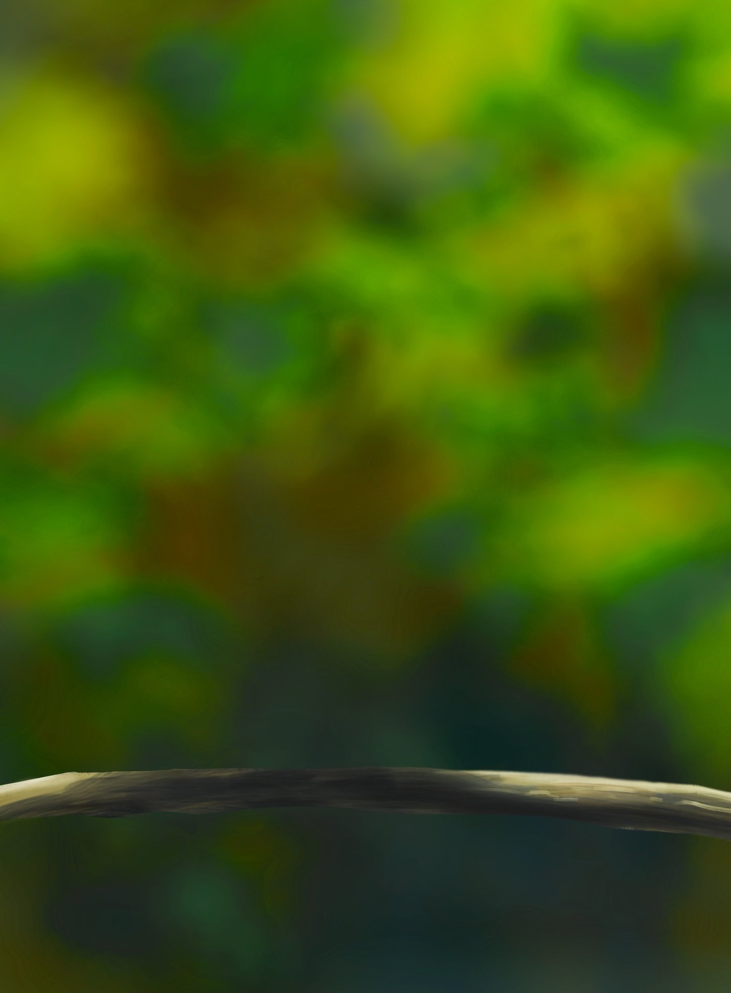 DPS Prog-1-1-Exercice5-Oiseau-Commencement.jpg