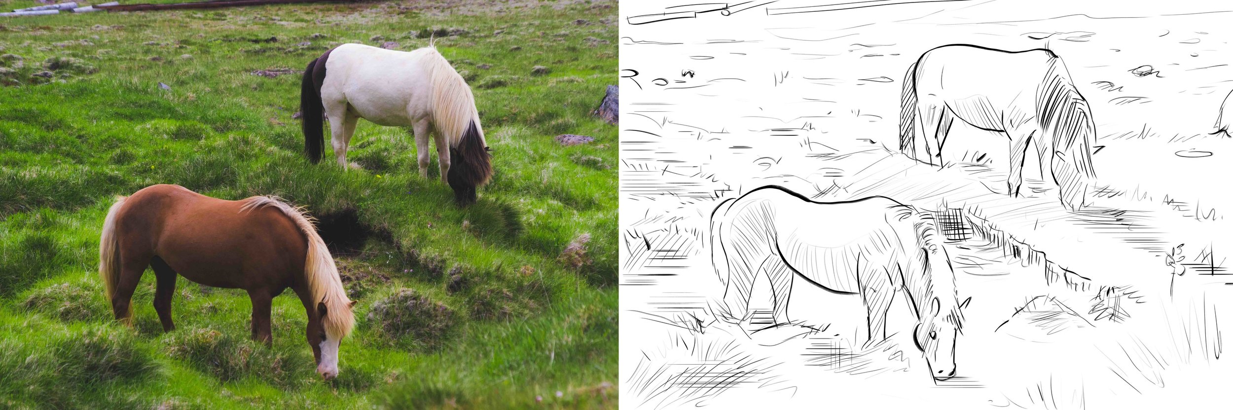 pexels-photo-201958 OK.jpg