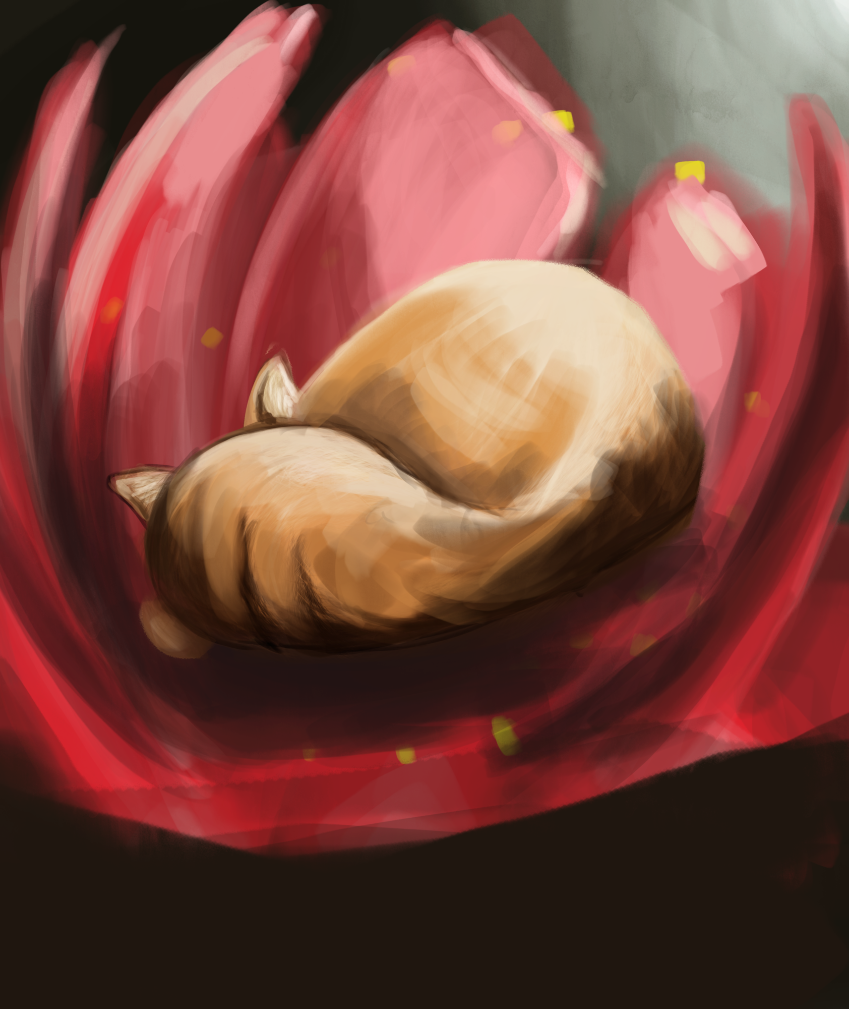 exercice 1 le chat dans le lotus.png