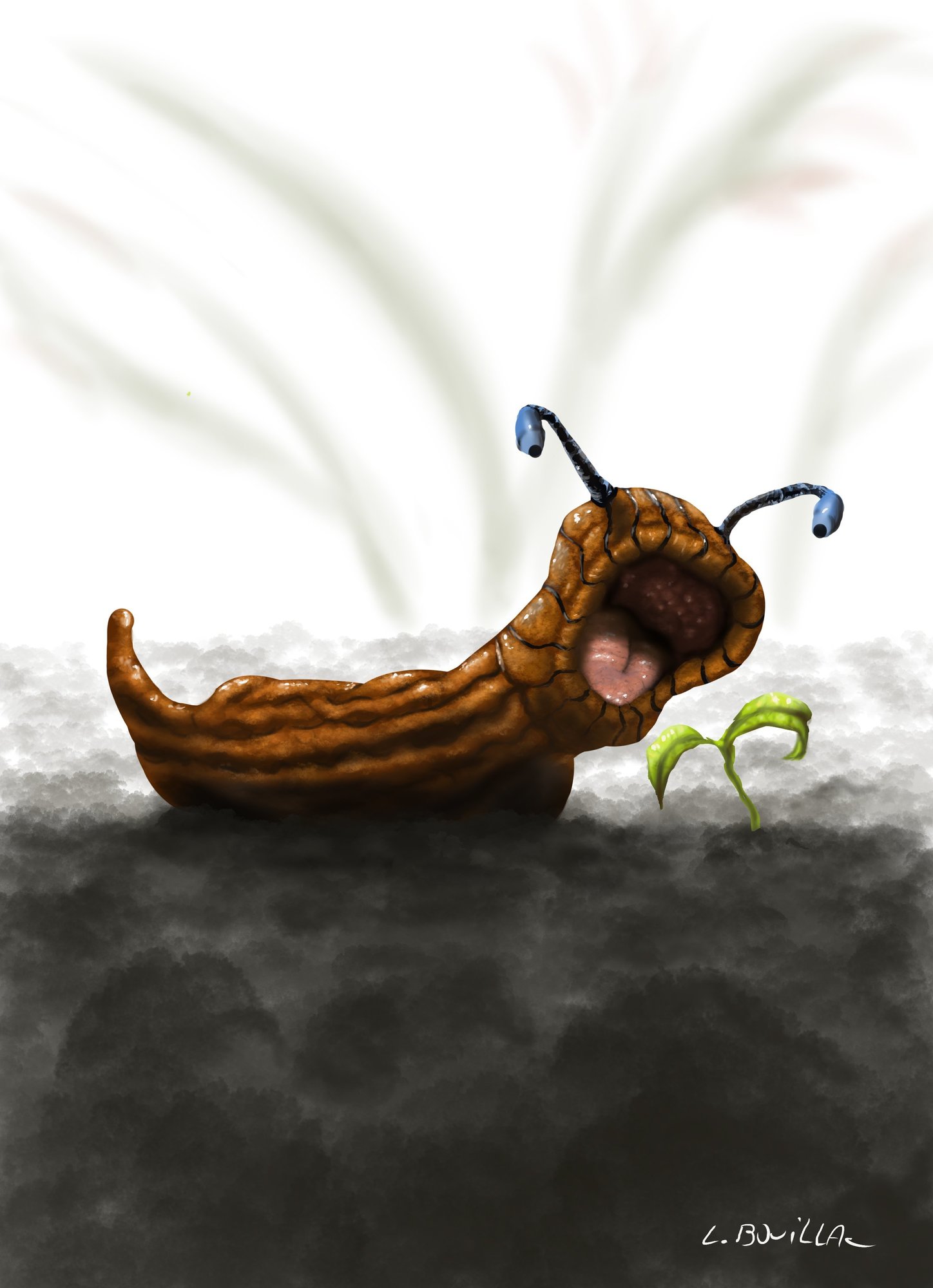 la limace.jpg