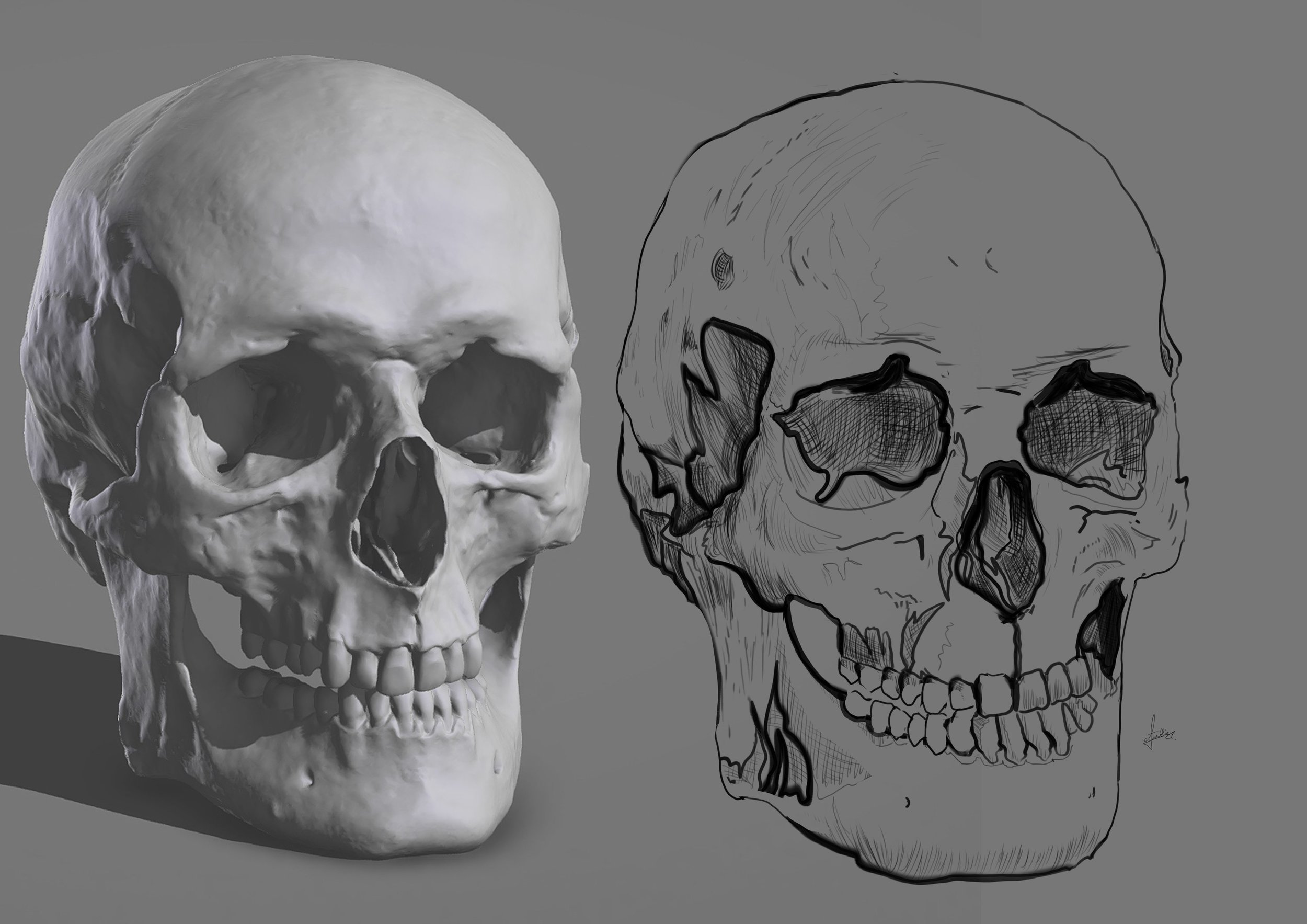 Correction Crâne exercice croquis Aurélie Teixeira 13-12-2021.jpg