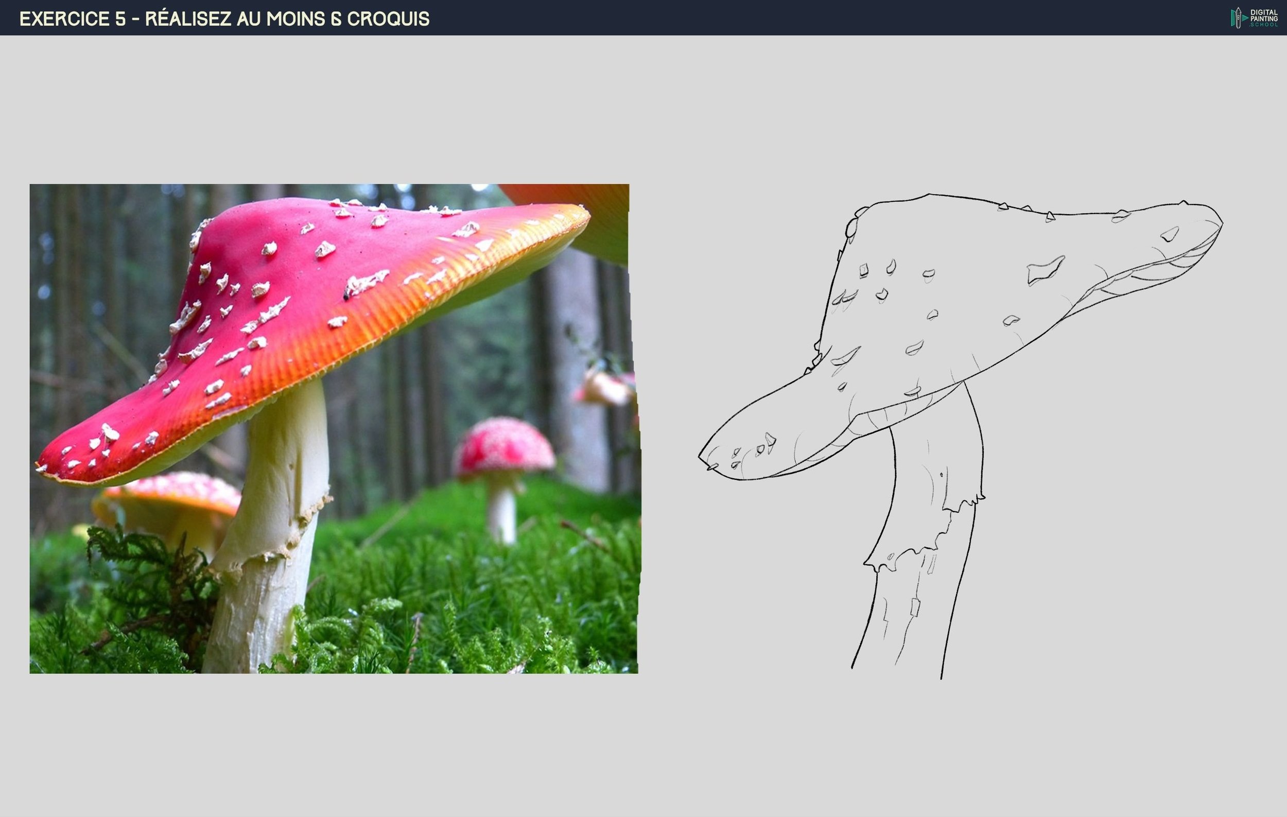 2065180607_Exercice5-CroquisChampignon.thumb.jpg.734b88e9616d1981be0fa1b189b6c90a.jpg