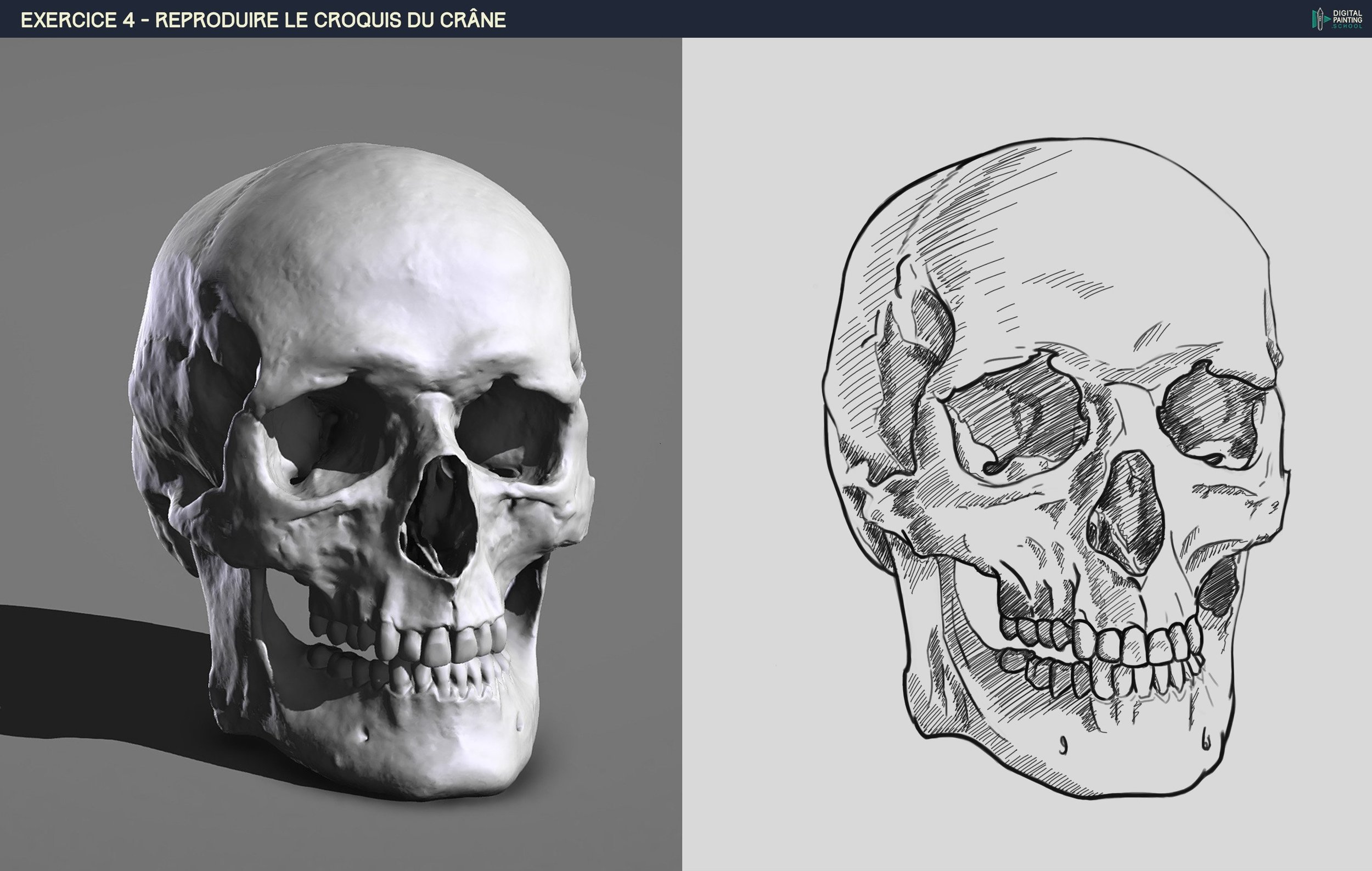 DPS-Prog-1-2-2-démo-crane-croquis copie.jpg
