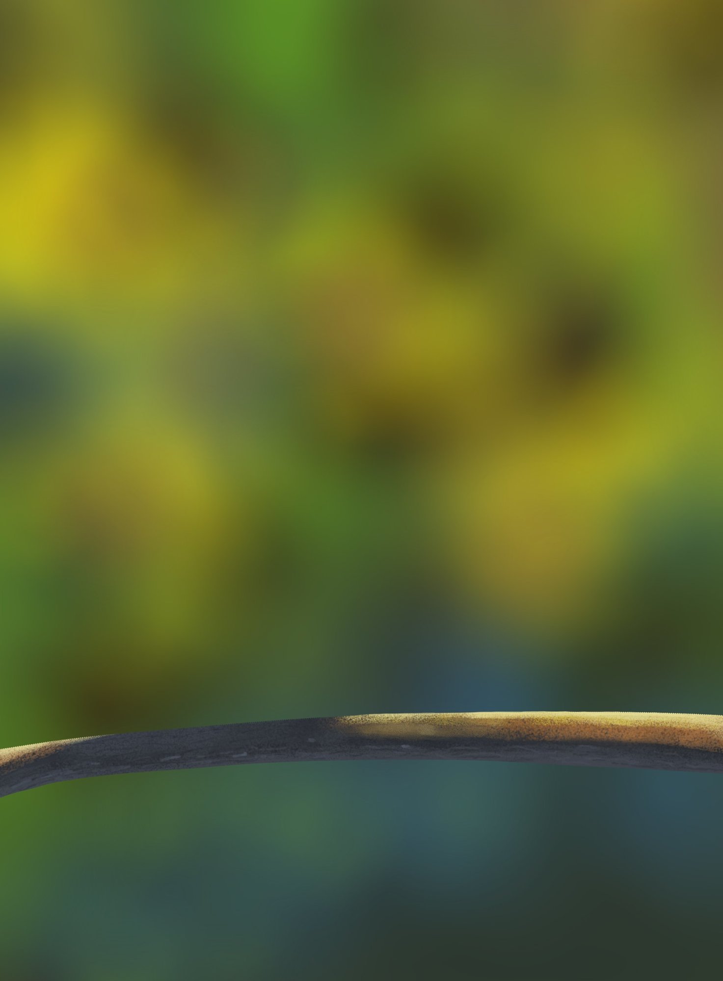 DPS Prog-1-1-Exercice5-Oiseau-Commencement.jpg