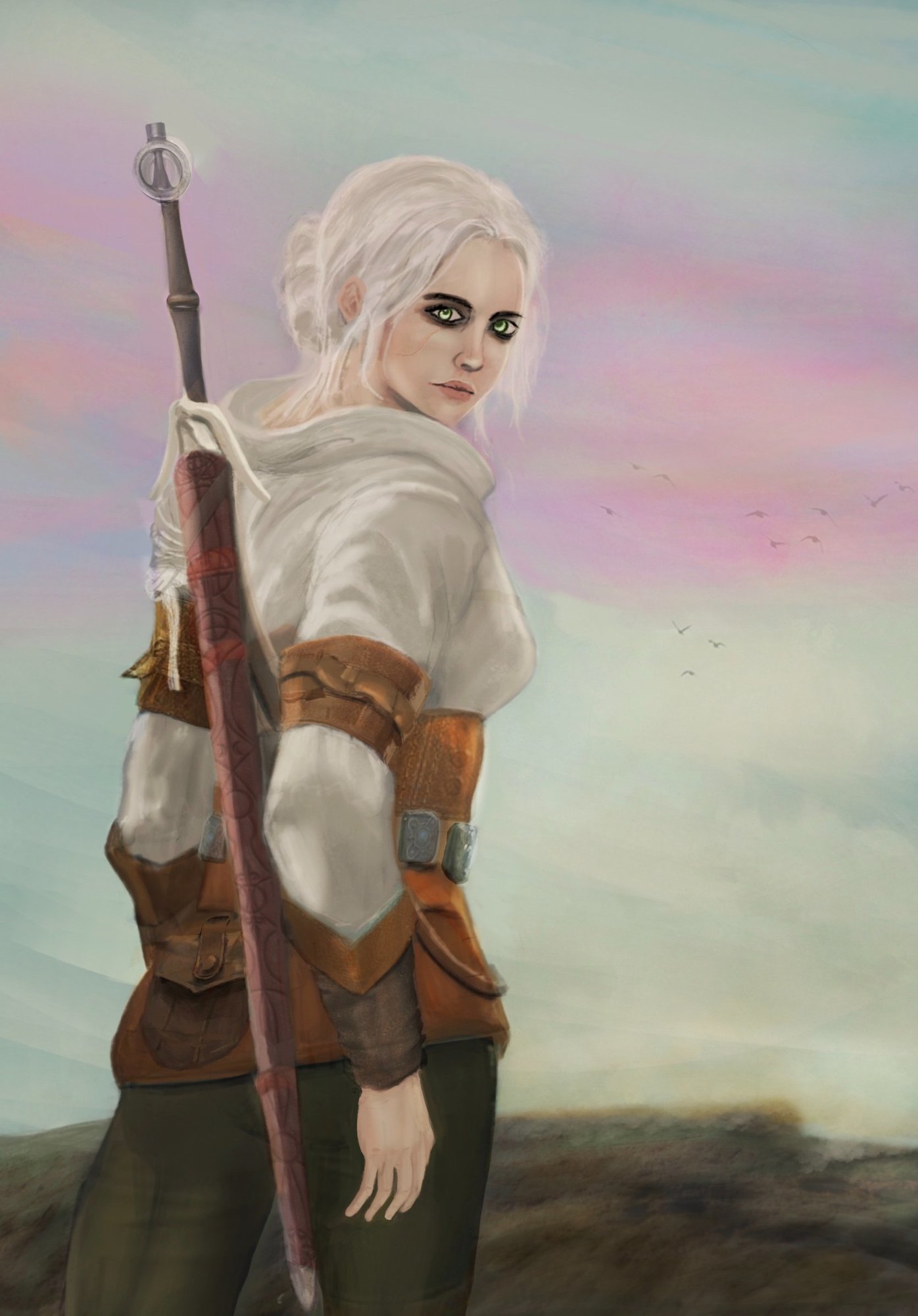 Ciri the witcher.jpg