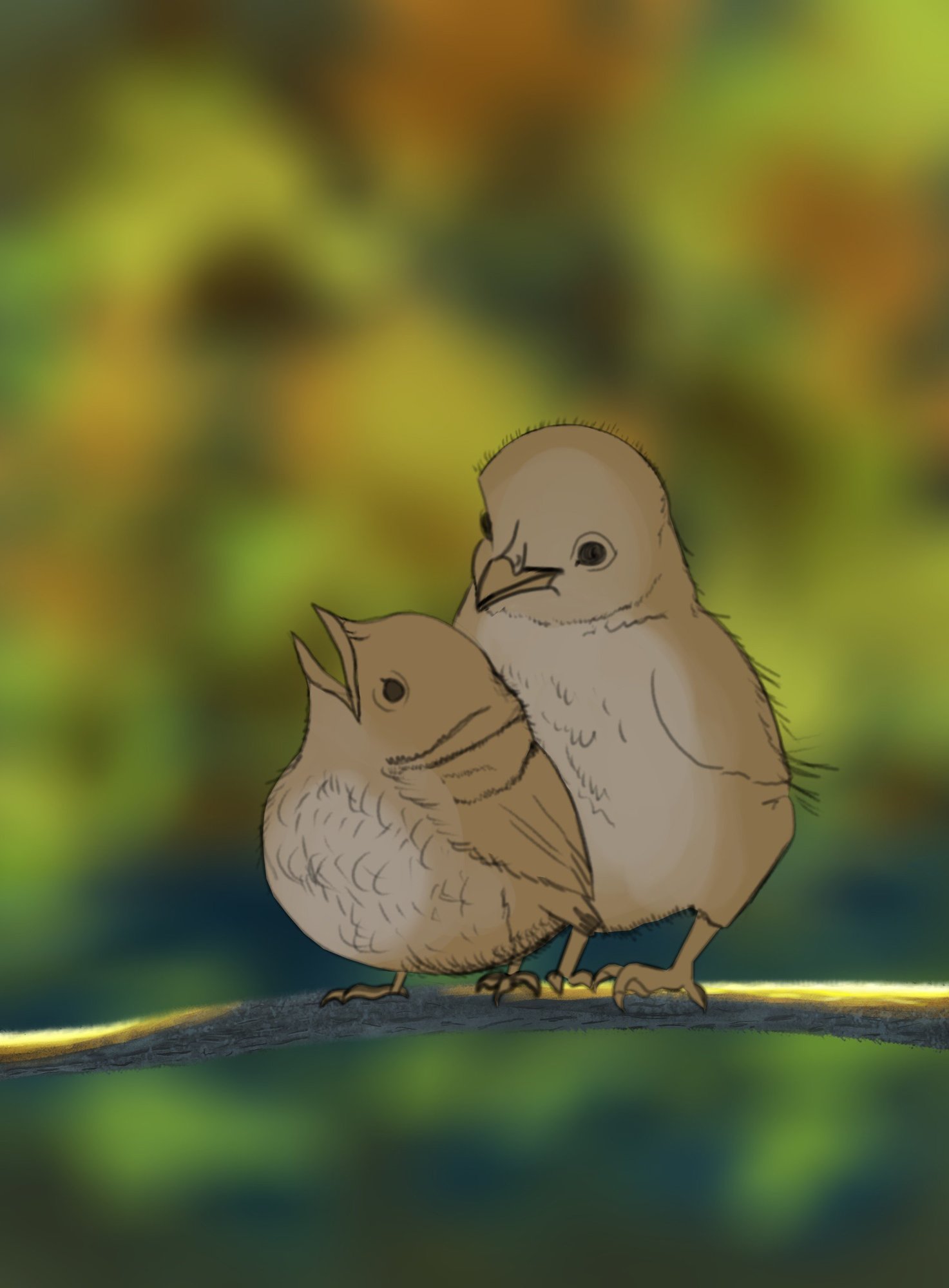 DPS Prog-1-1-Exercice5-Oiseau-Etape2-correction1-1.jpg