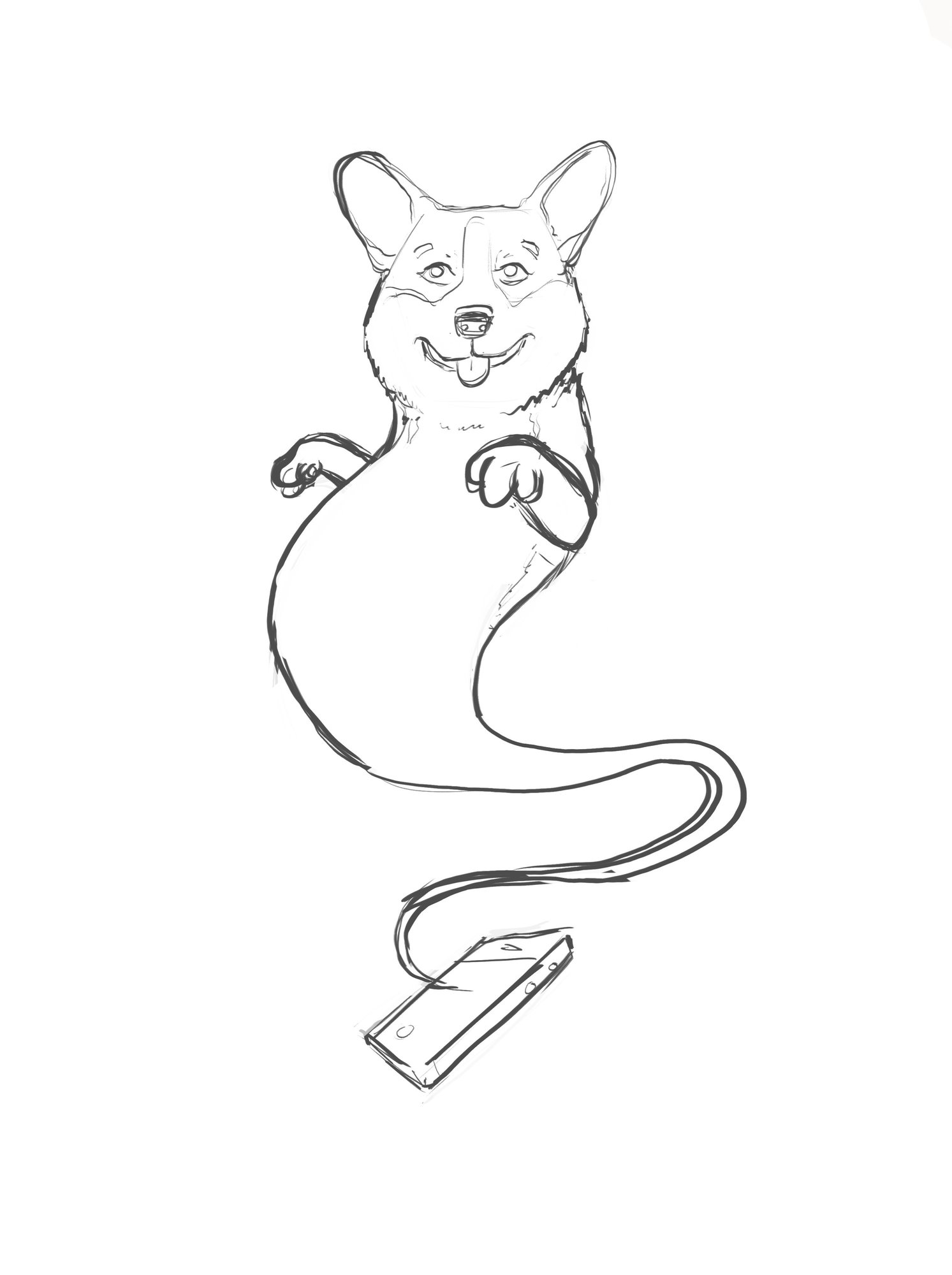 corgi-web-croquis.jpg
