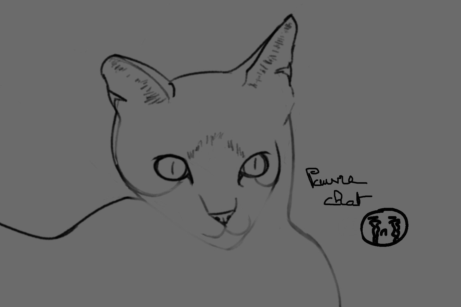 croquis_chat_1_small.jpg.8c85b34b0fde8139da85d954832cd952.jpg