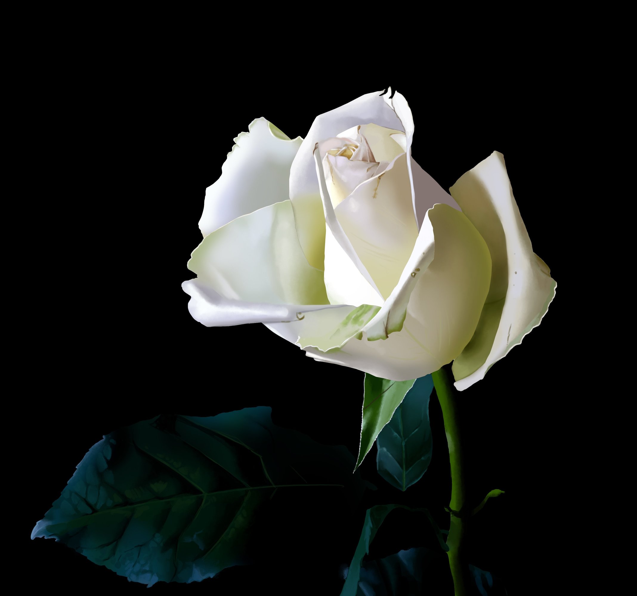 photo_exercice_lasso2 copie.jpg