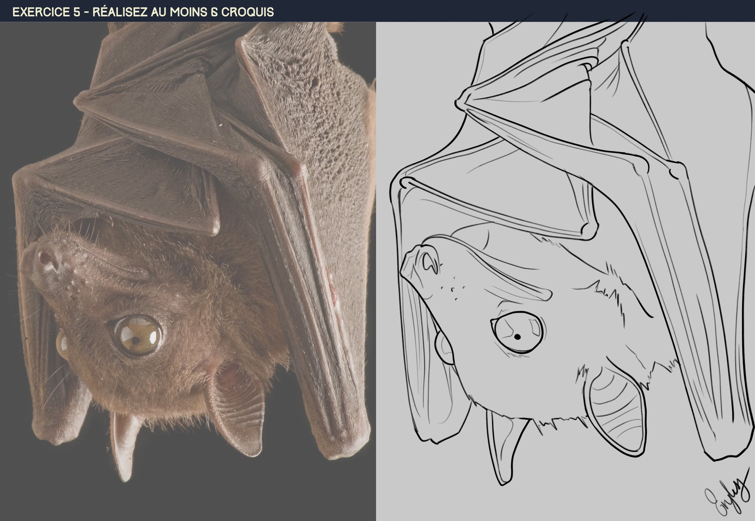 DPS-Prog-1-2-exercice5 - Bat.jpg