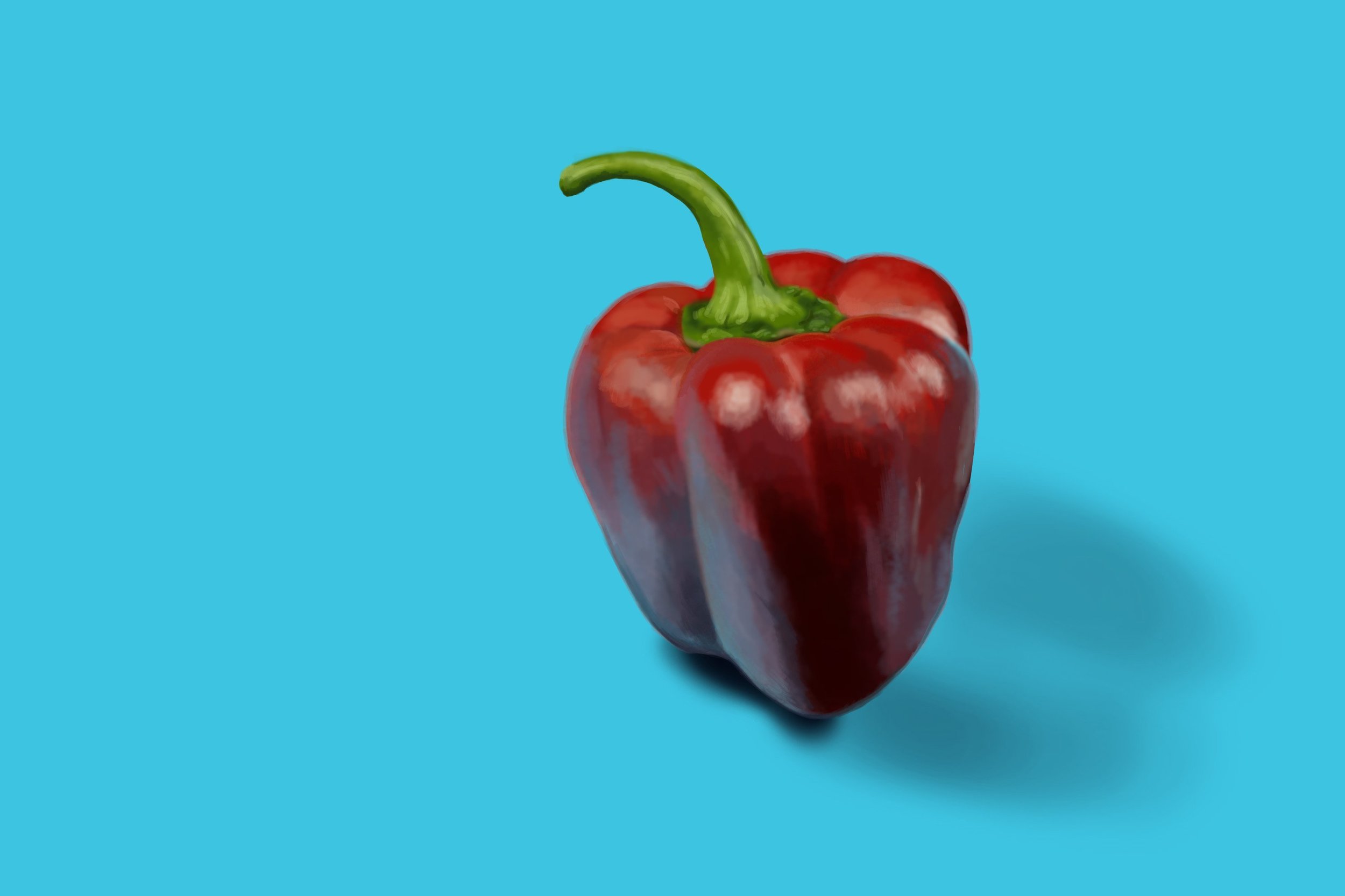 Exercice4-etude-photo1 copie.jpg