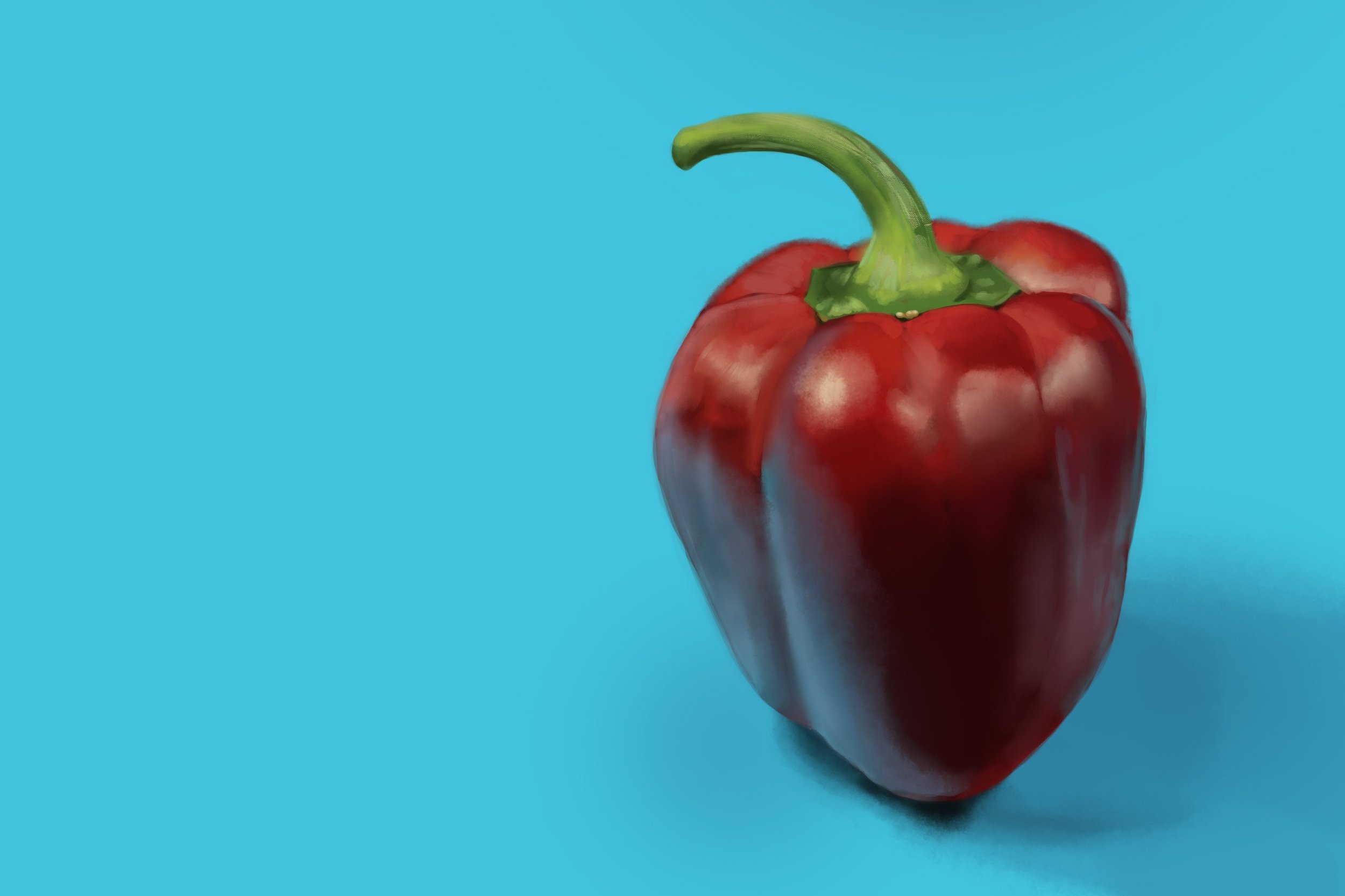 Exercice4-etude-photo1 copie.jpg