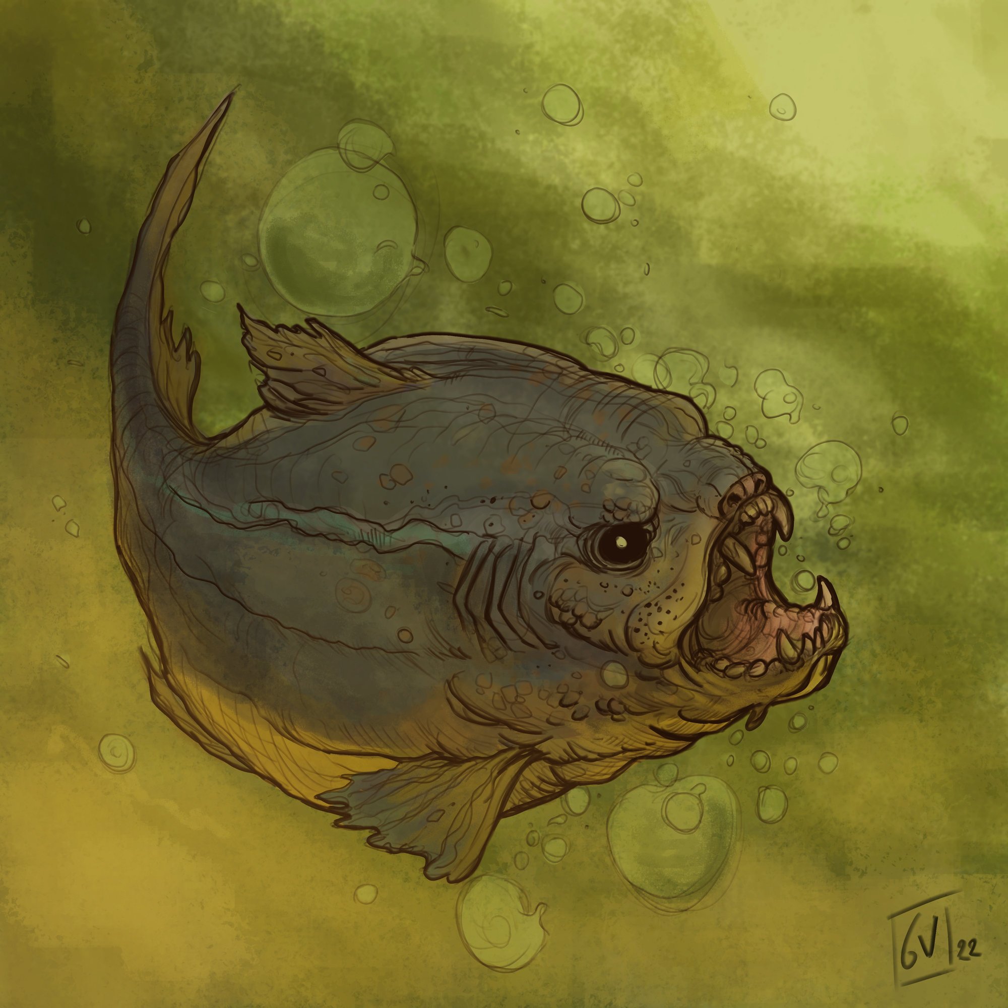 Piranha Dog colors.jpg