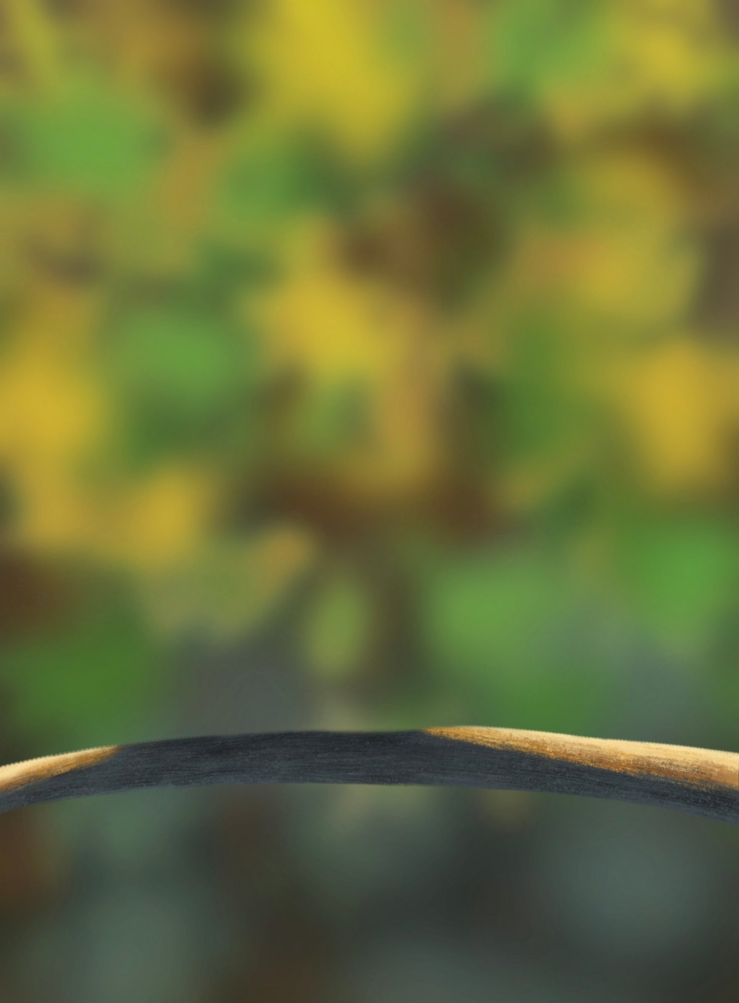 branche avec correction.jpeg