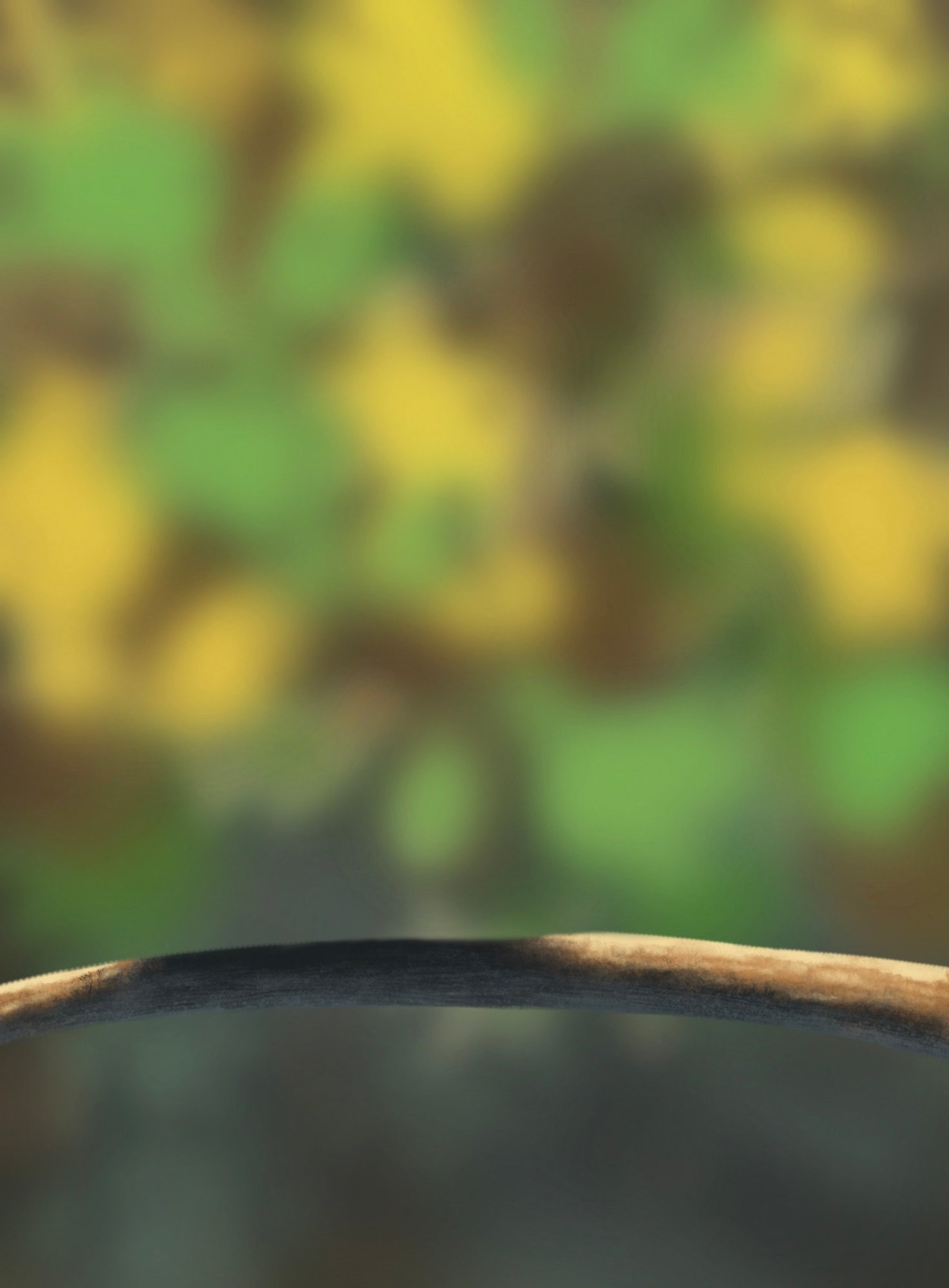 branche dessaturée.jpeg