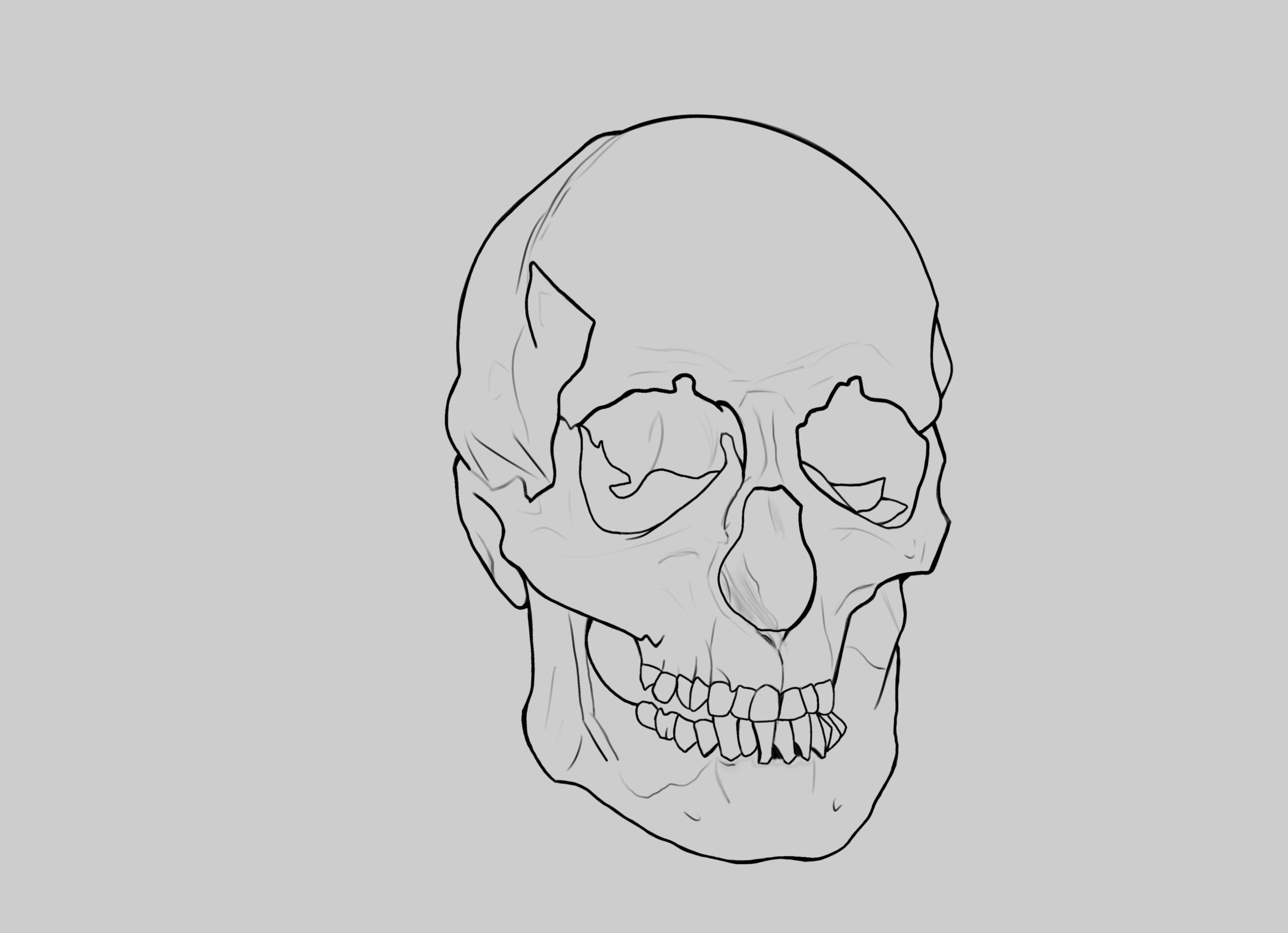 Crane après correction.jpeg