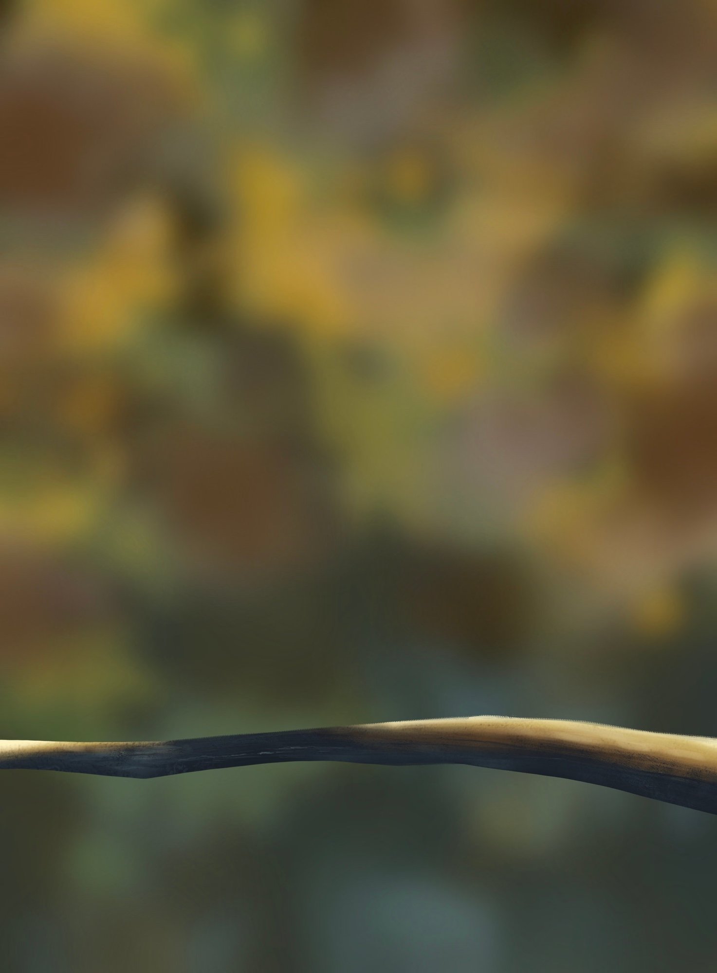 branche ex 5 200122.jpg