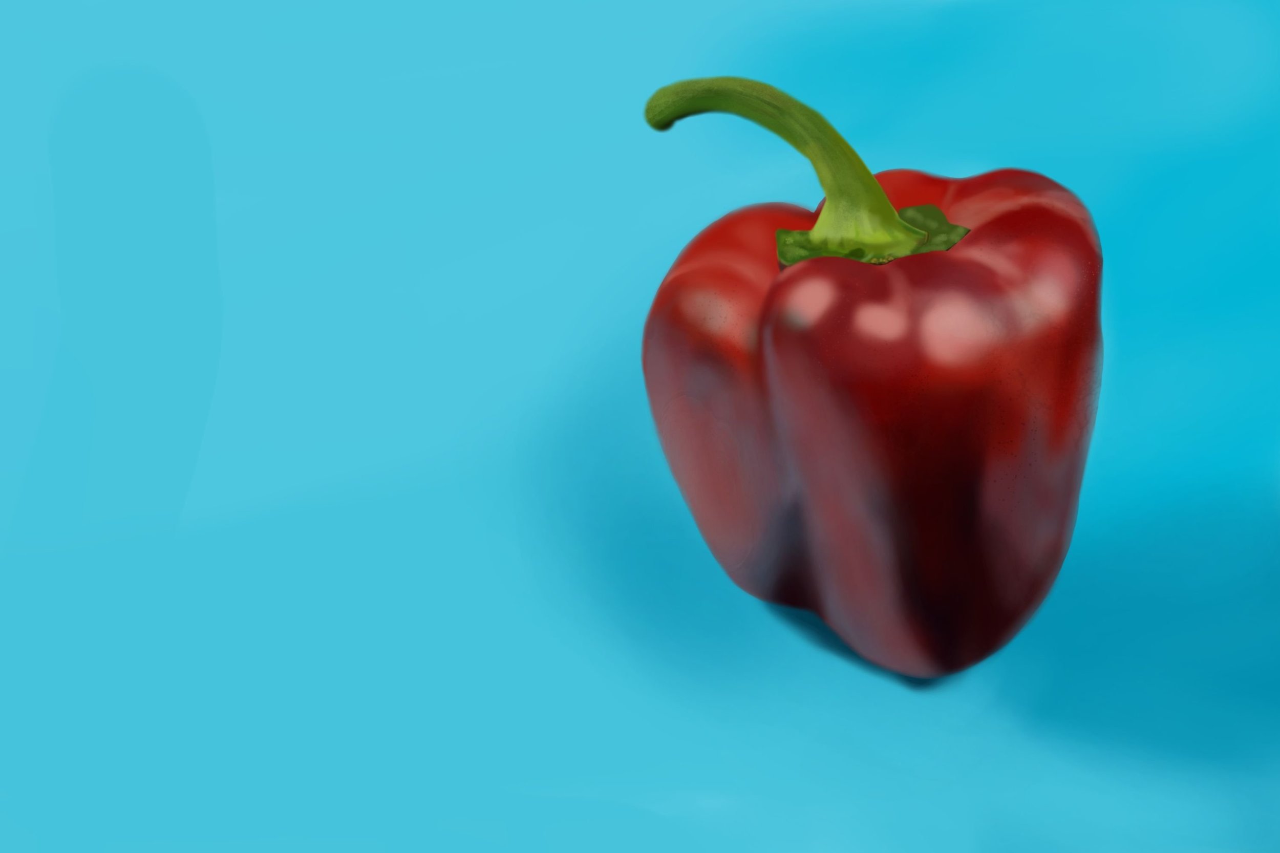 Exo4 Poivronmodif1.jpg