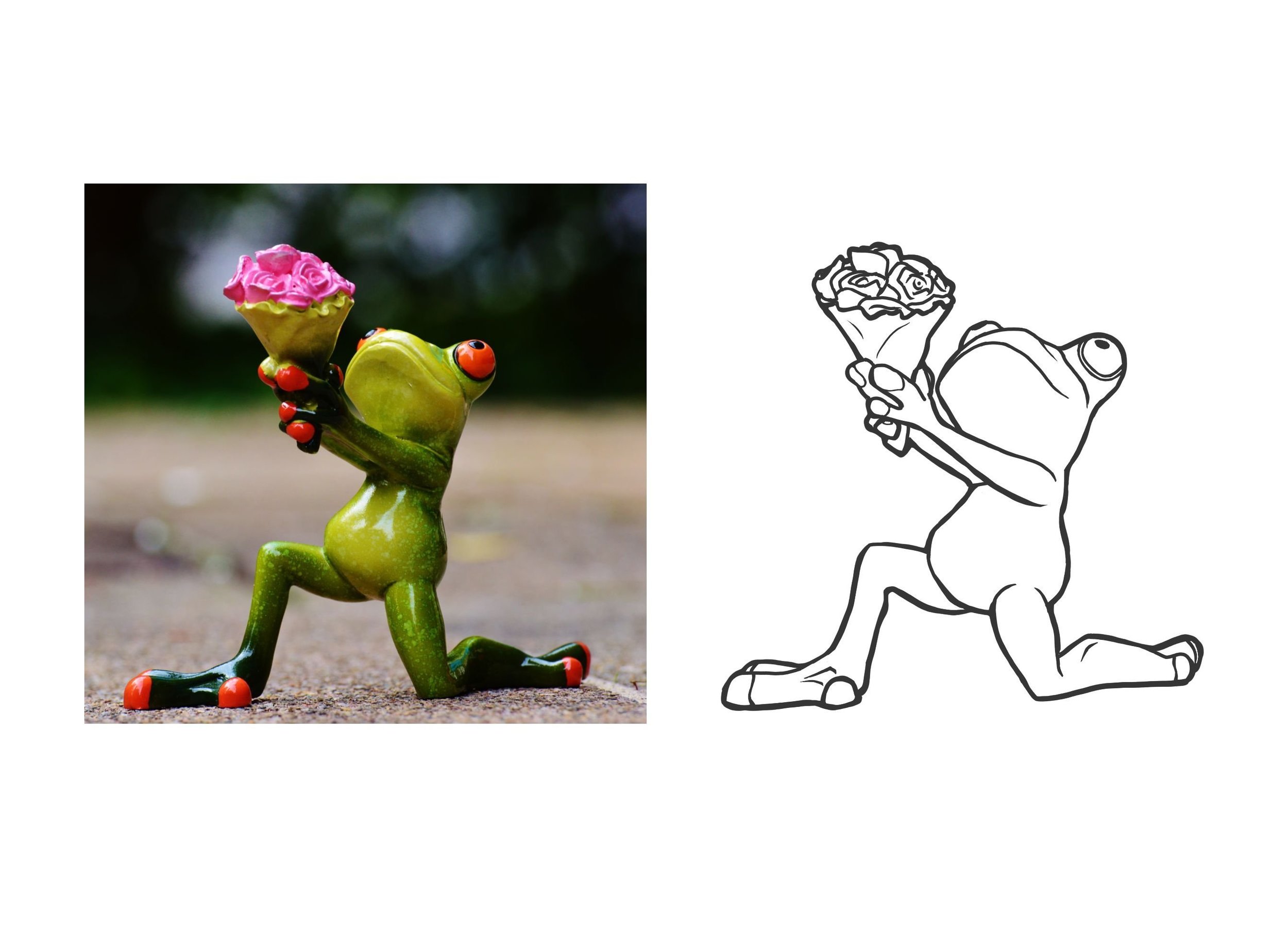 Ex 5 - grenouille.jpg