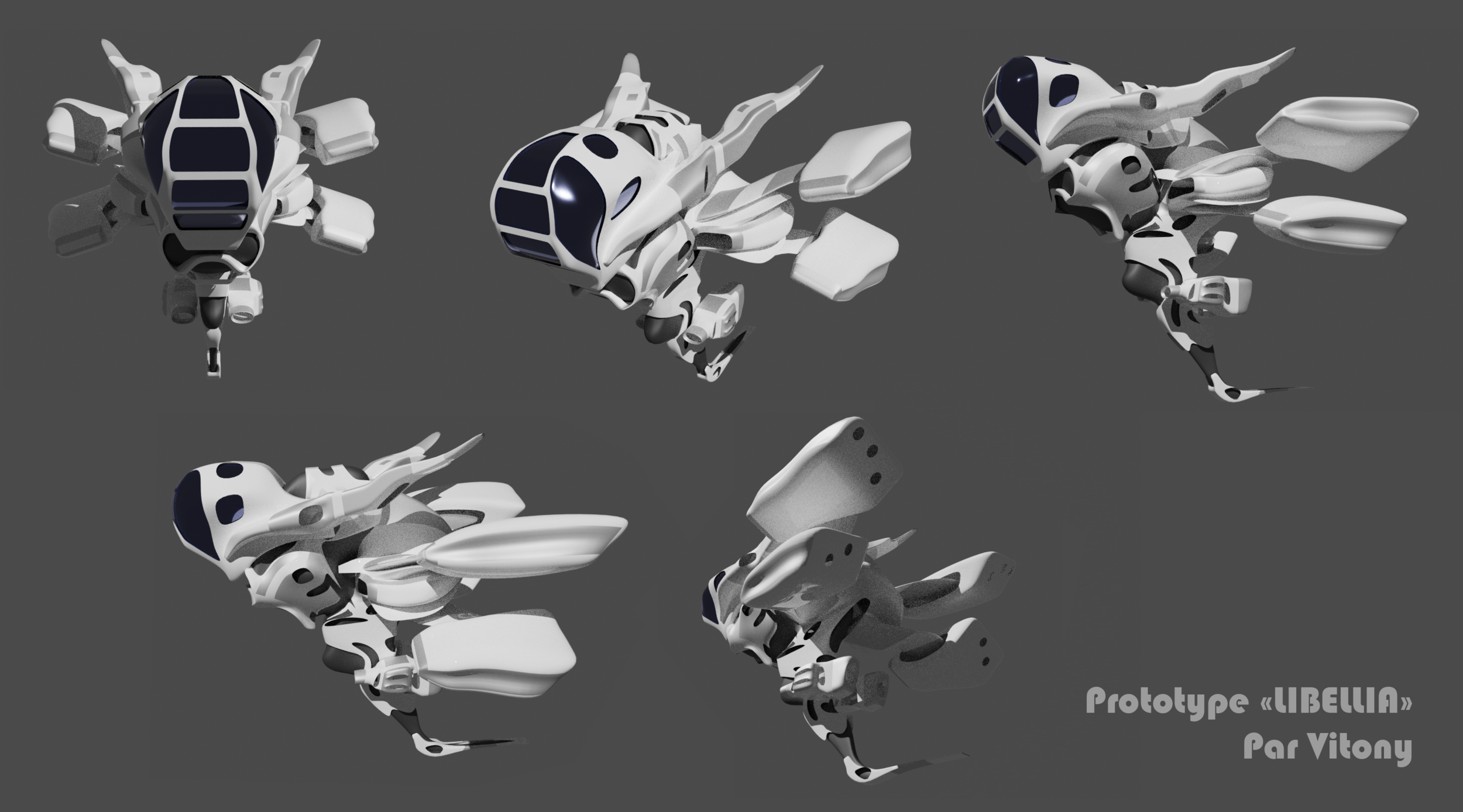 libellia 3D brute.png