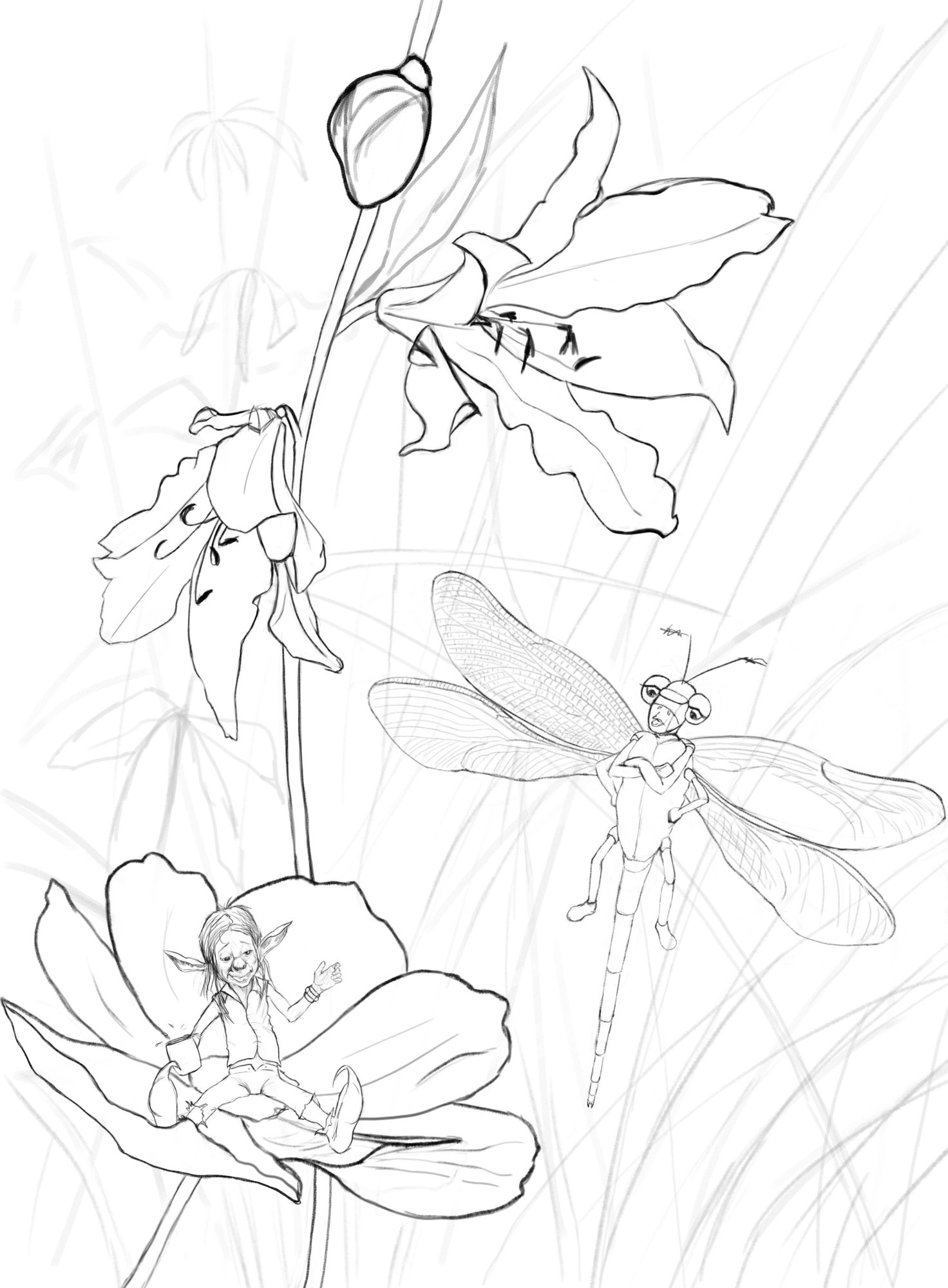 croquis DP perso 05-11-22.jpg