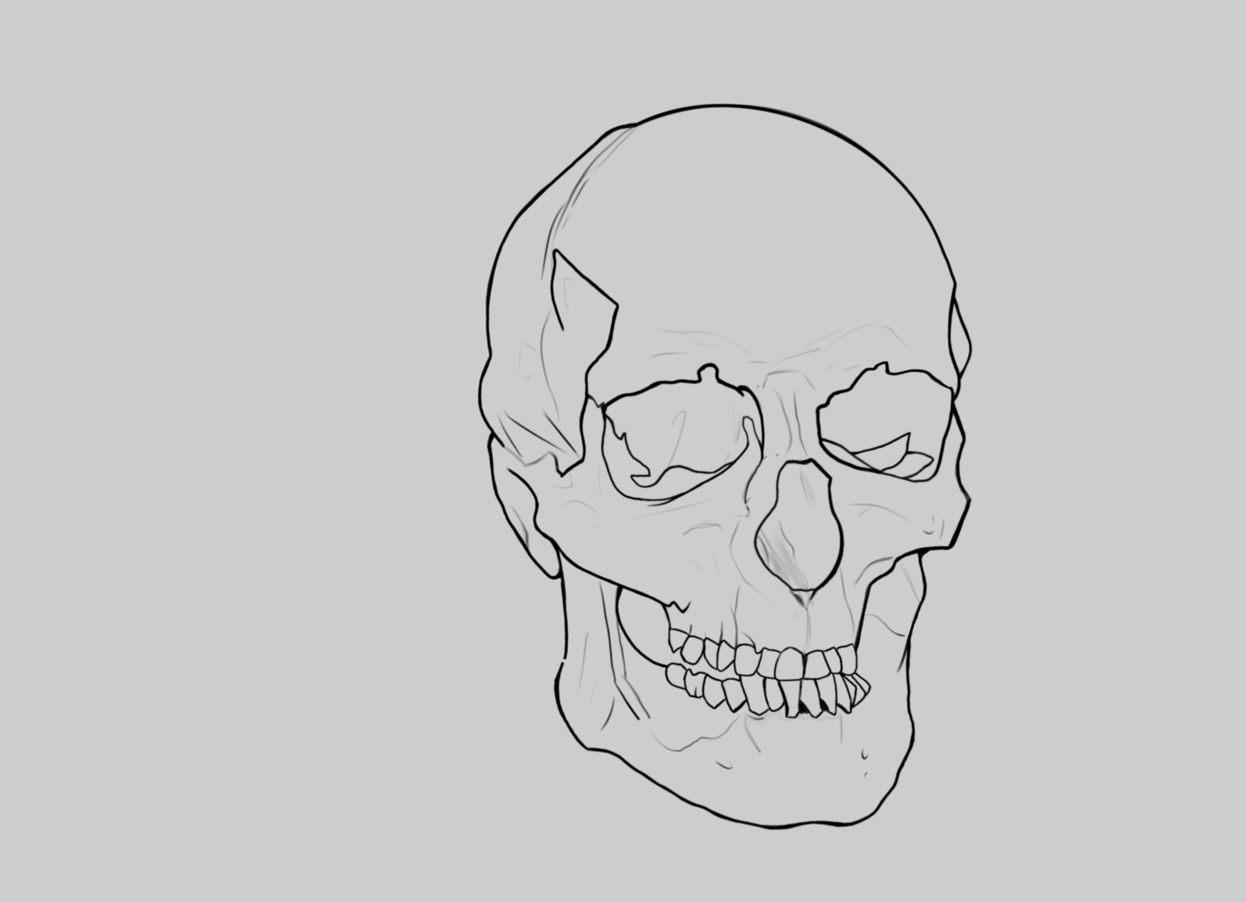 Crane final correction.jpeg