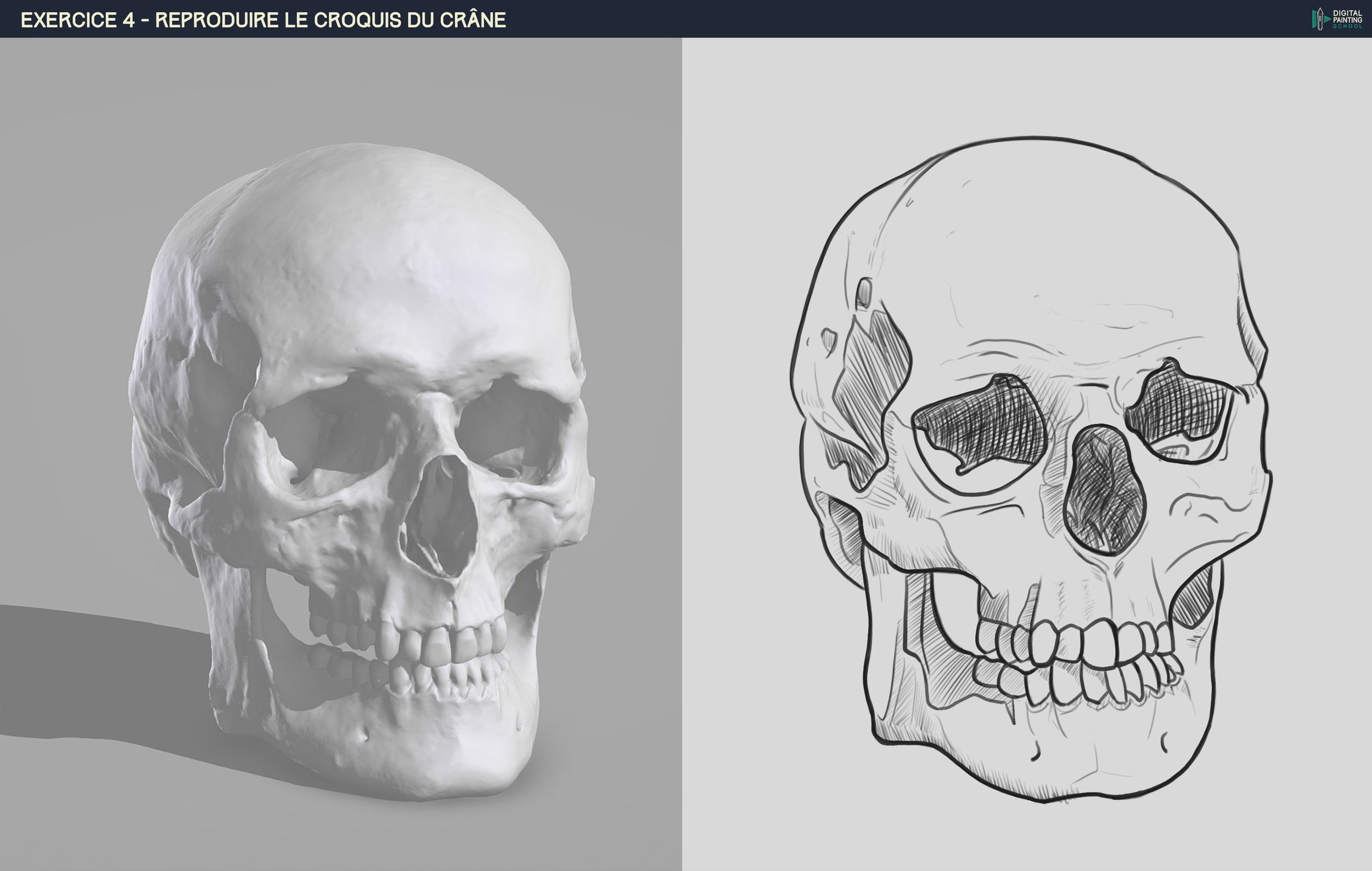 DPS-Prog-1-2-2-démo-crane-croquis FAIT 3.jpg