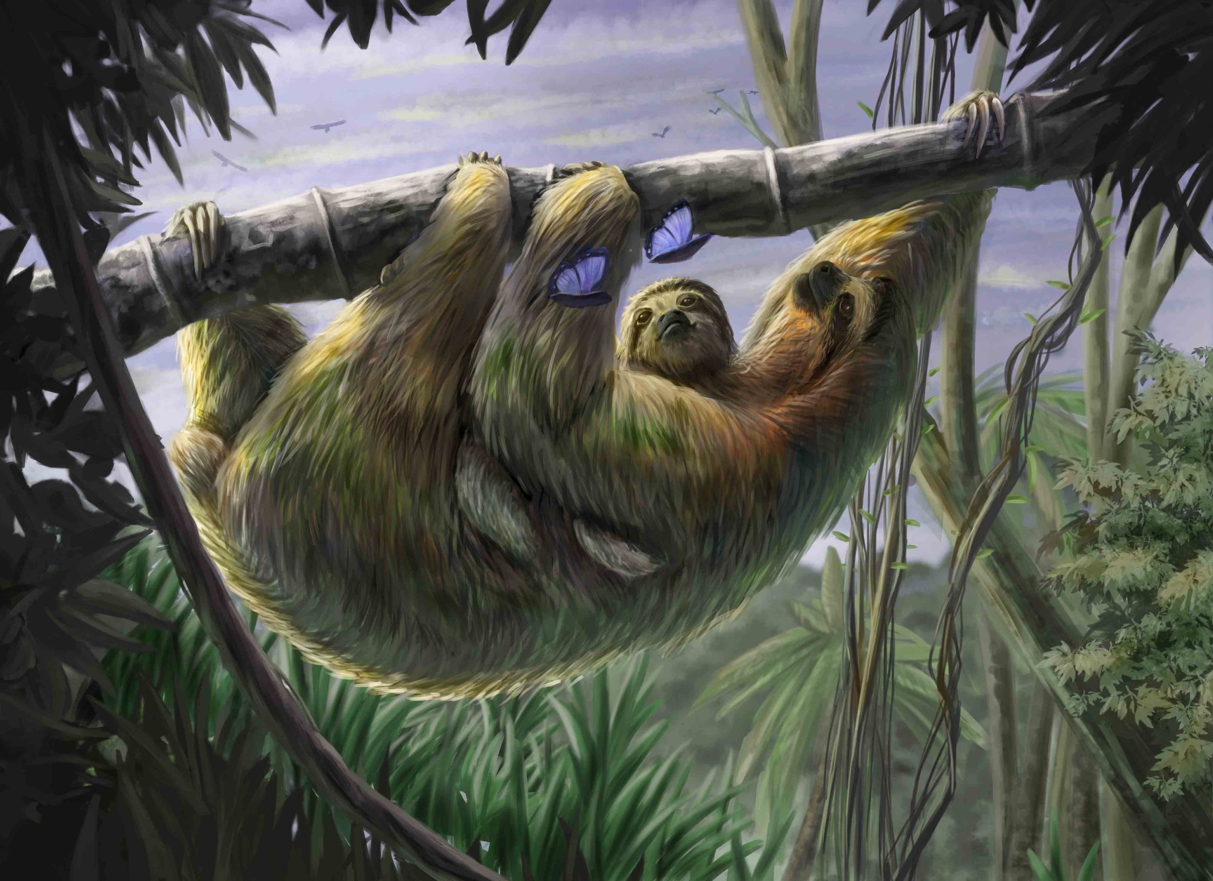 Sloth color V3 comp.jpg