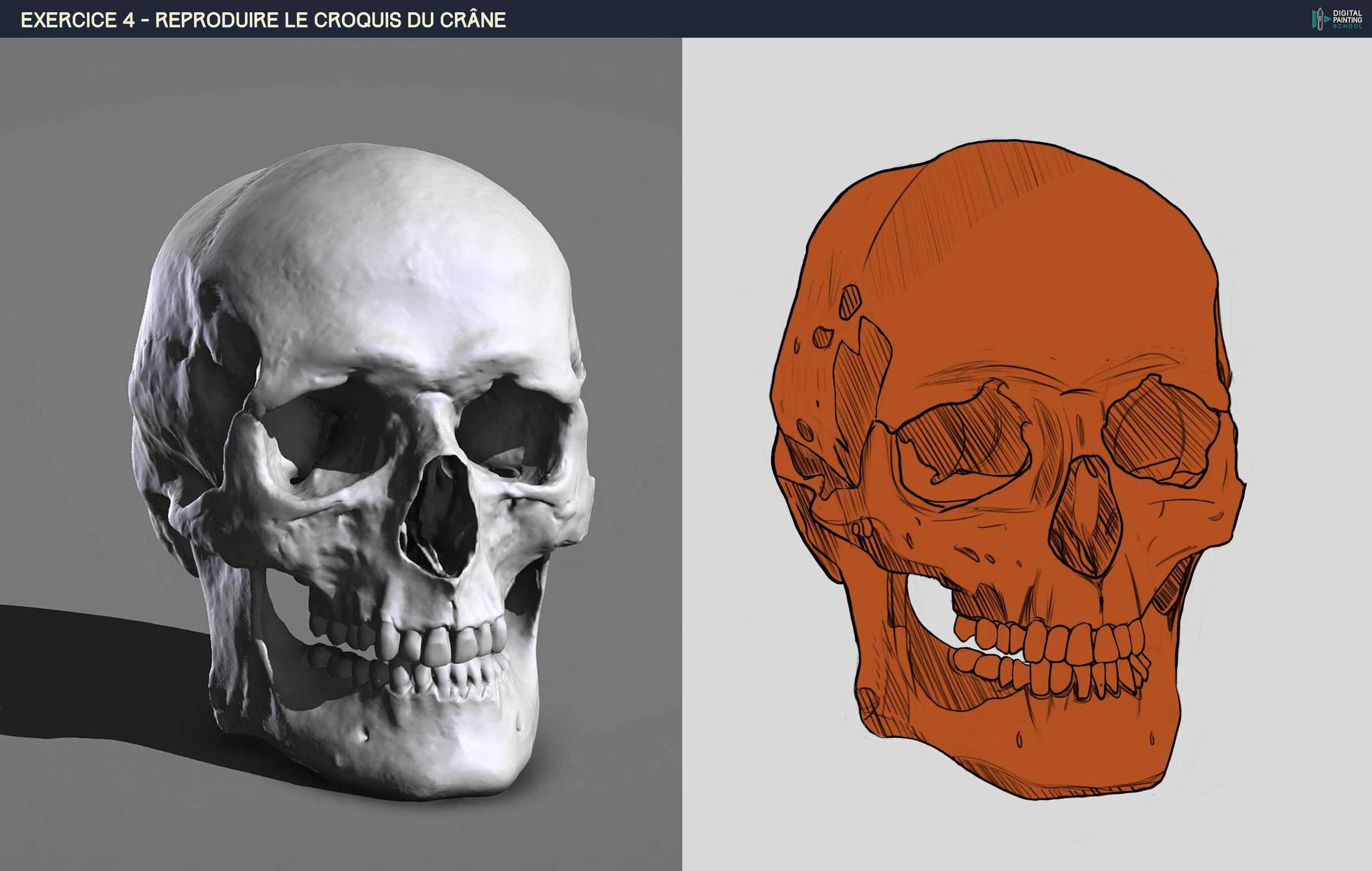 DPS-Prog-1-2-2-démo-crane-croquis2 copie.jpg