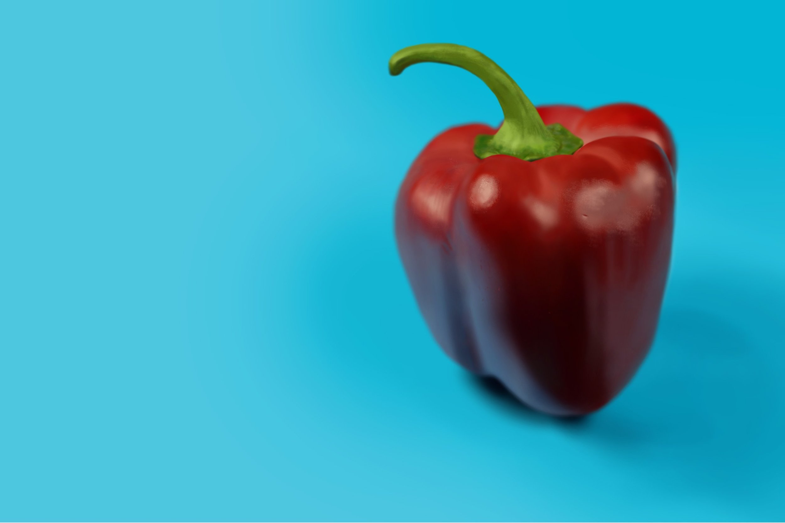 Exercice4-etude-photo1ARU2 copie.jpg