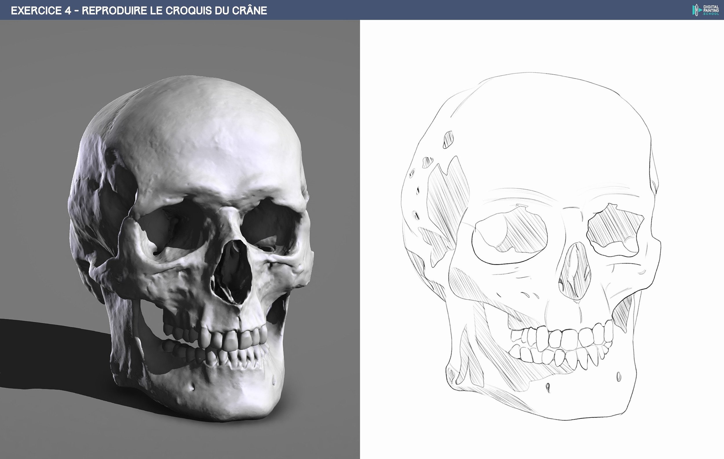 DPS-Prog-1-2-2-démo-crane-croquis2 copie.jpg
