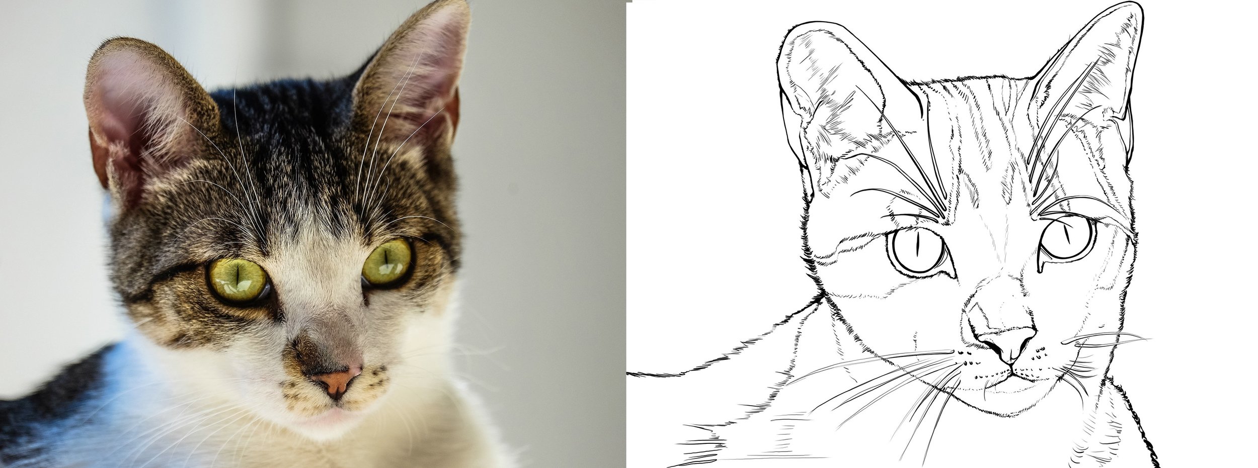 exo 5 parti 6 copie.jpg