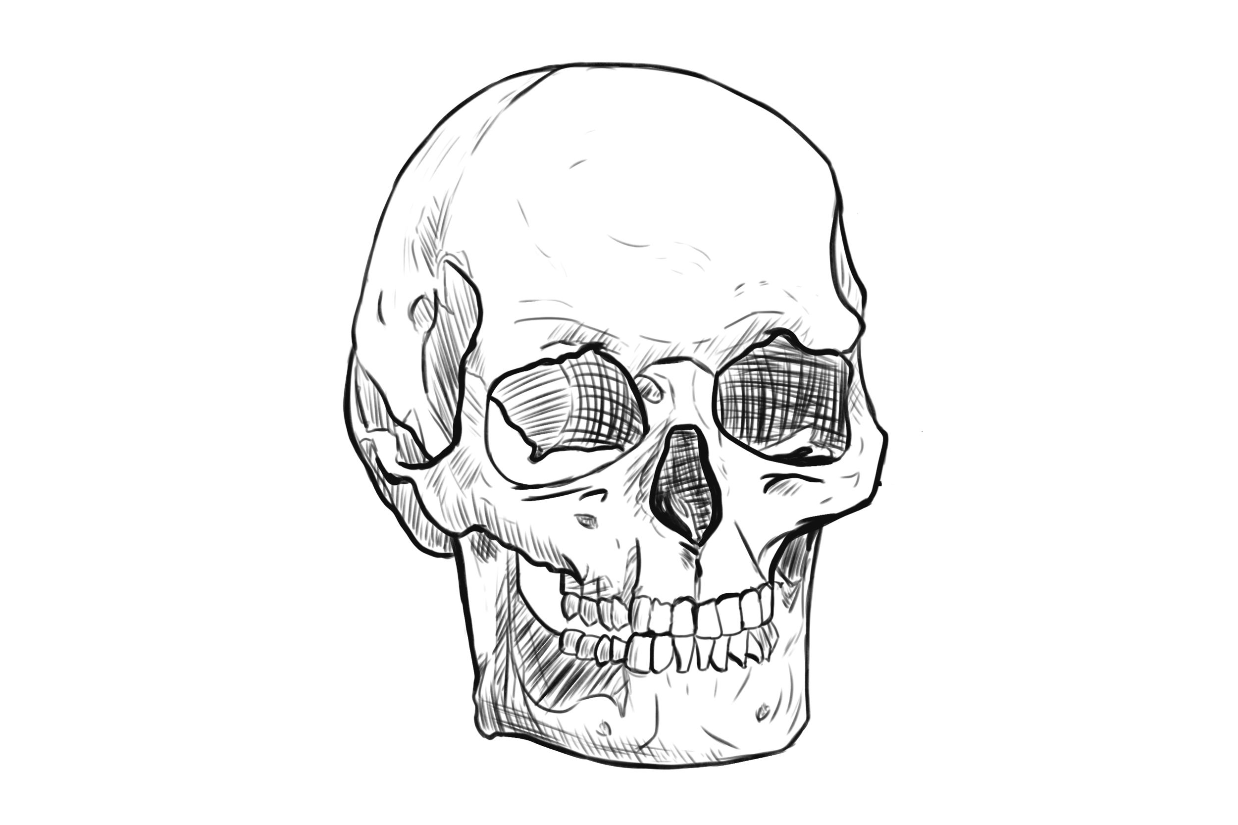 crane hachures copie.png