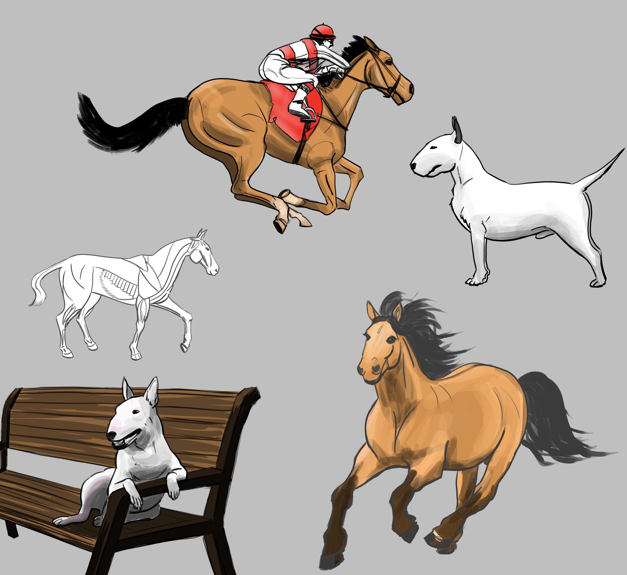 croquis animaux tout copie.jpg