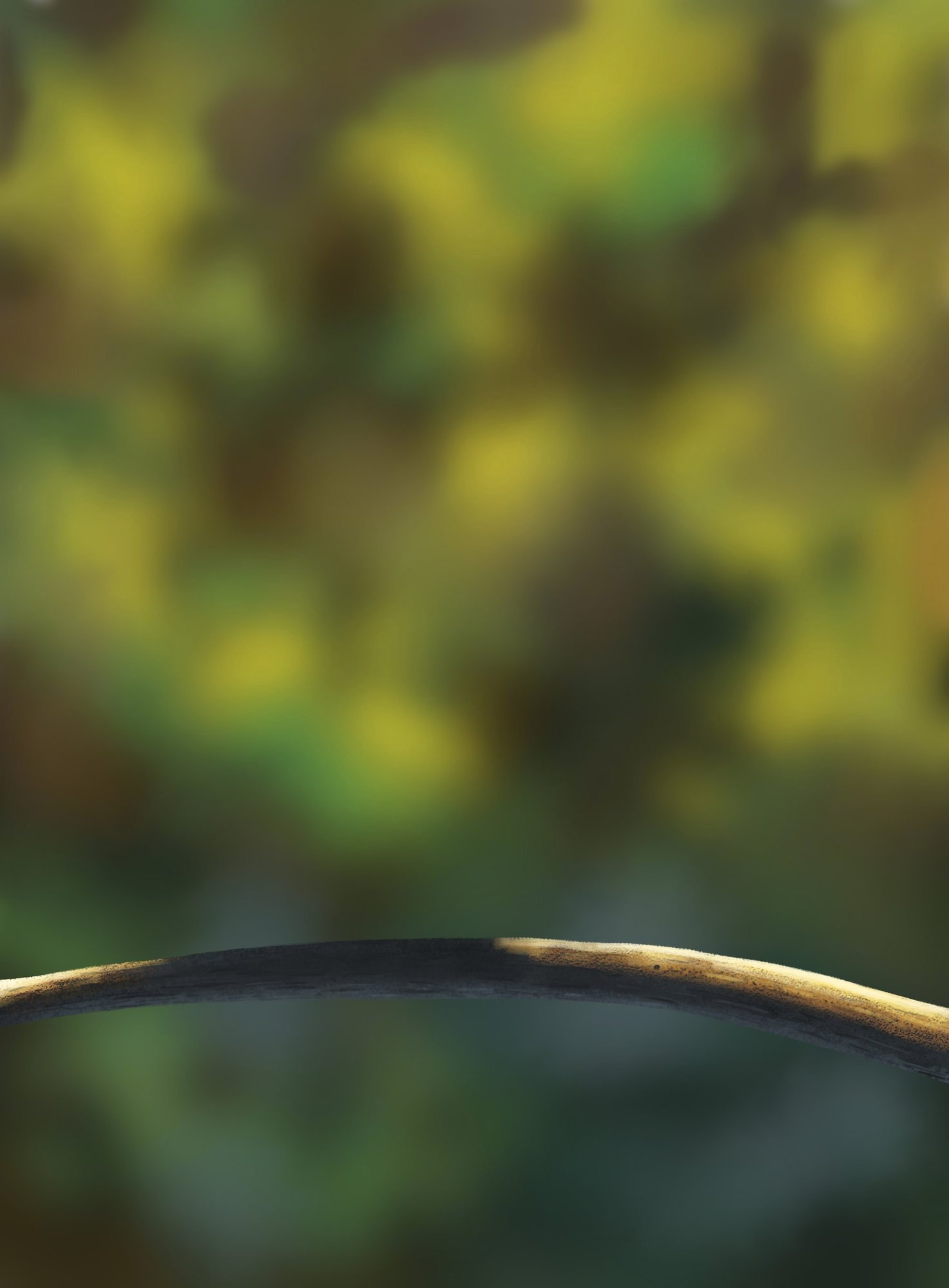 DPS Prog-1-1-Exercice5-Oiseau-Commencement-isa.jpg