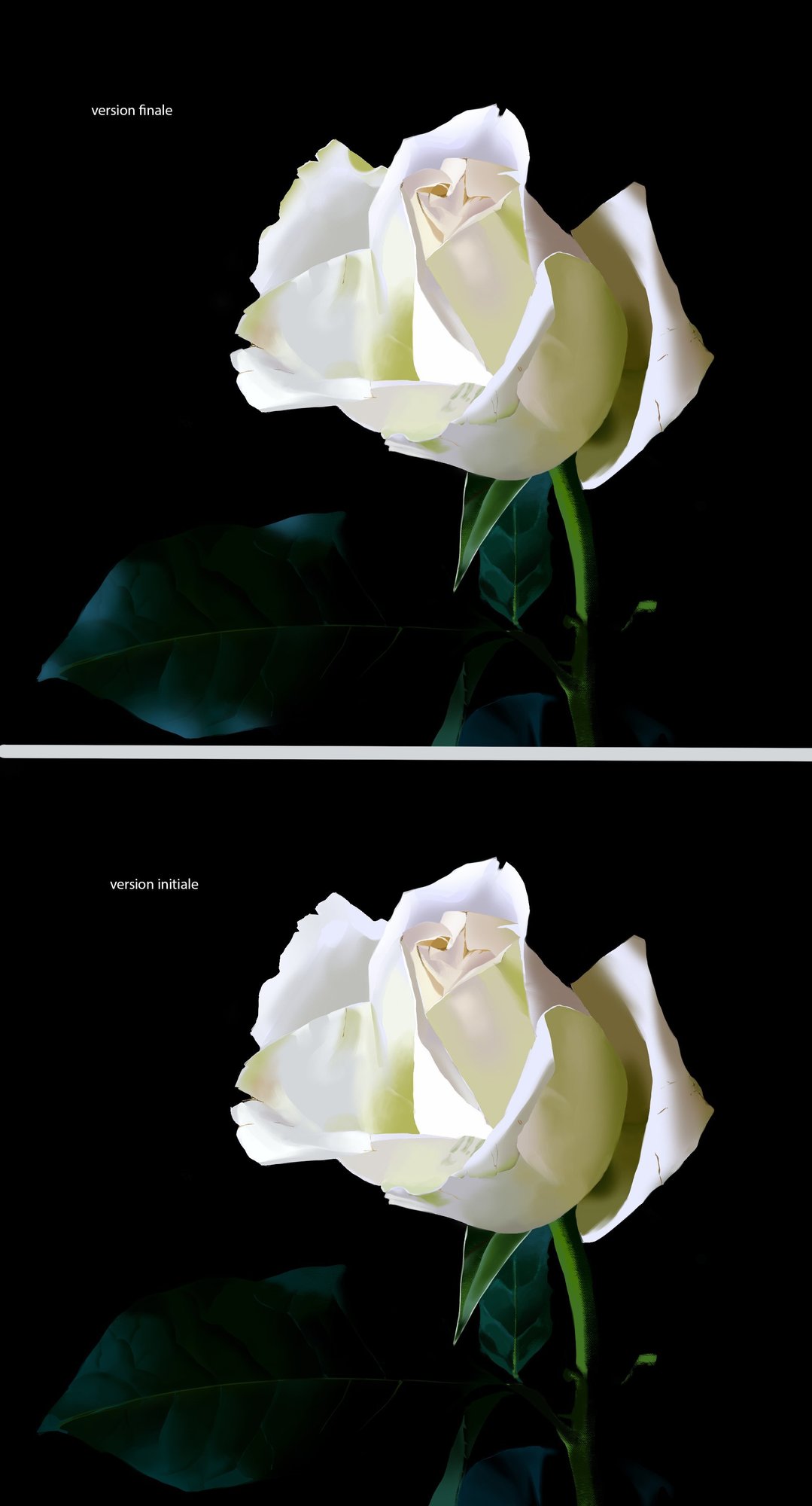 Exo 3 . 2 comparaison .jpg