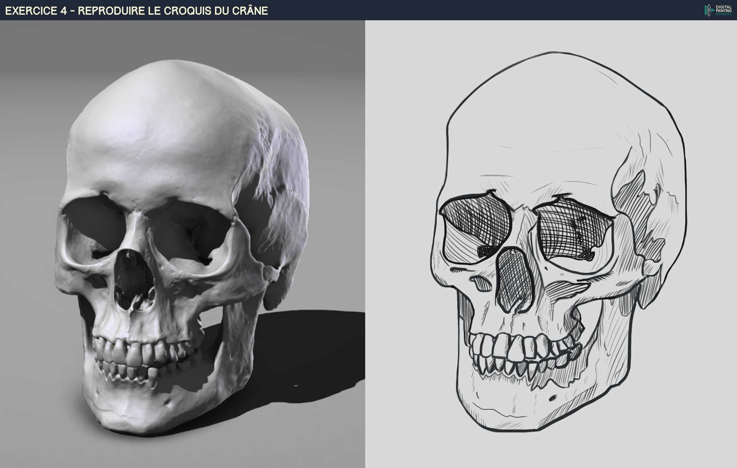 Crâne final - Oddelash.jpg