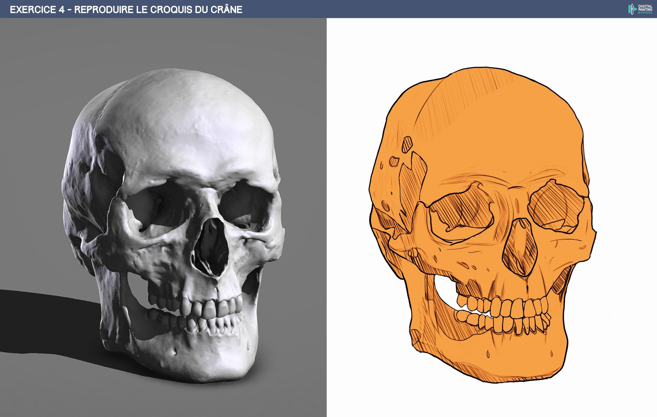 DPS-Prog-1-2-2-démo-crane-croquis2 copie1.jpg