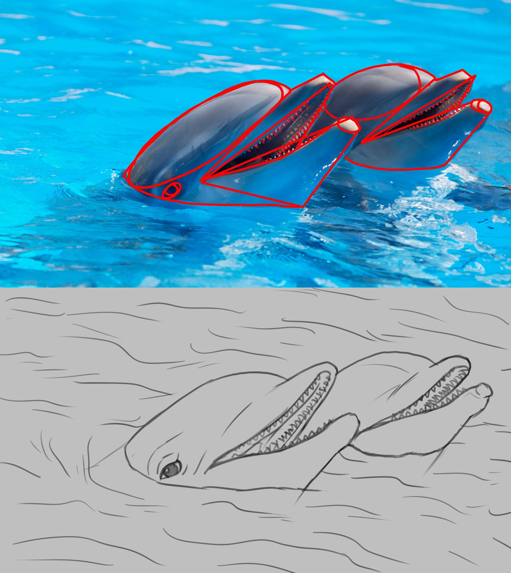 pexels-photo-225869 copie.jpg