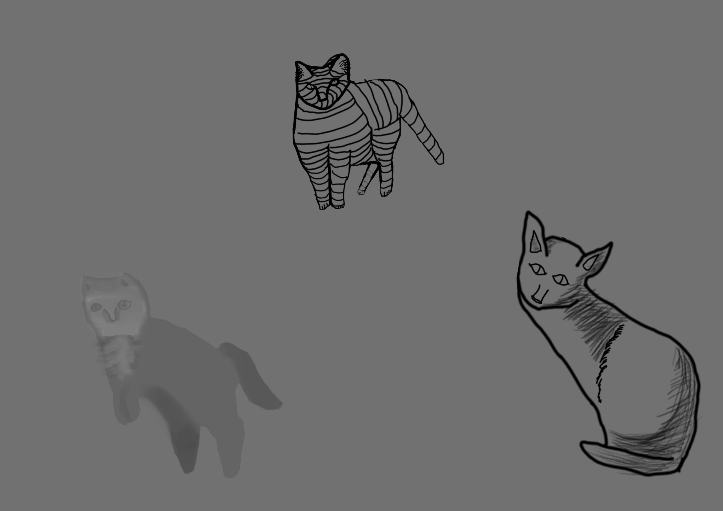 exo croquis chat.jpg