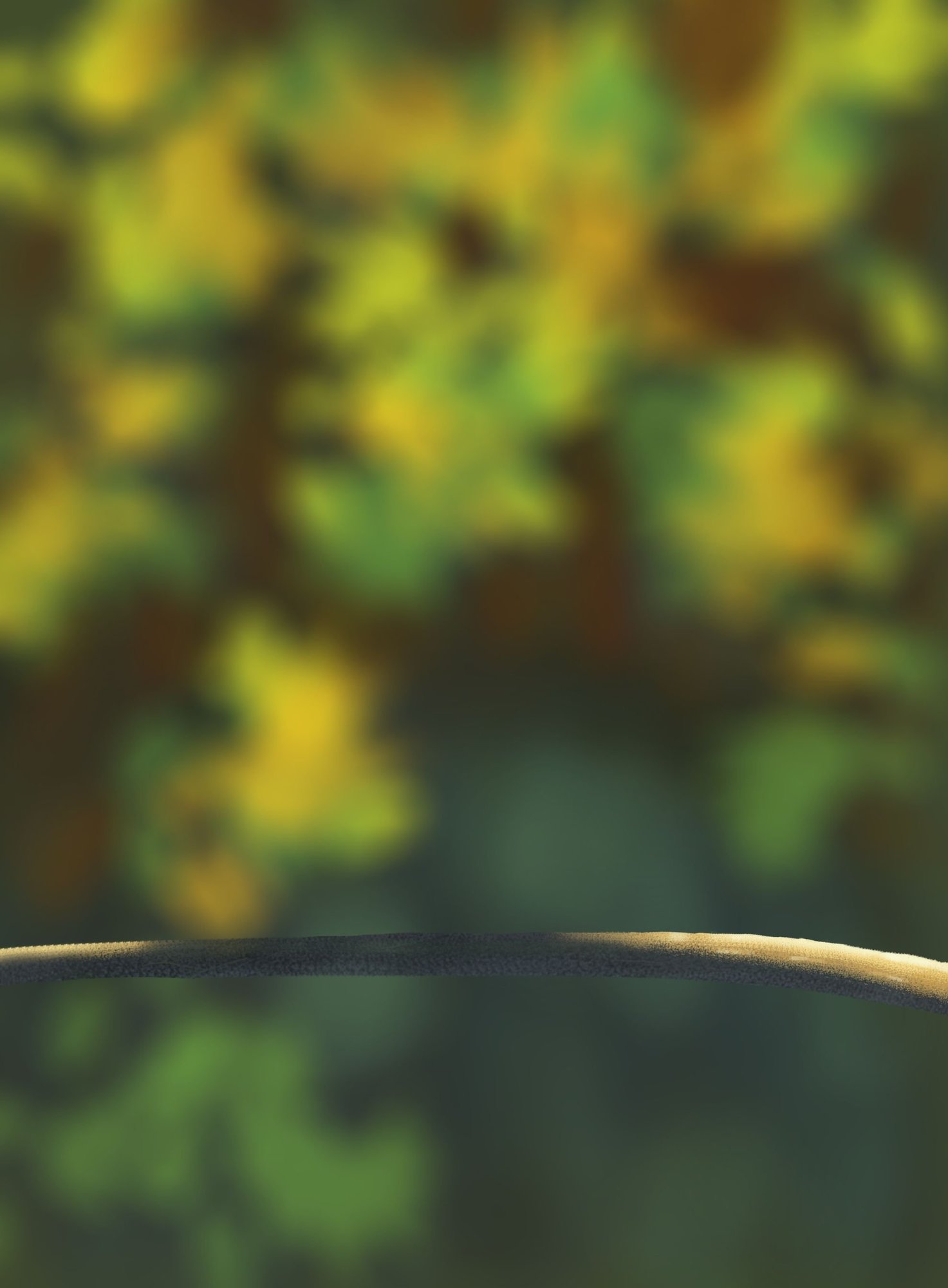 DPS Prog-1-1-Exercice5-Oiseau-lor33.jpg