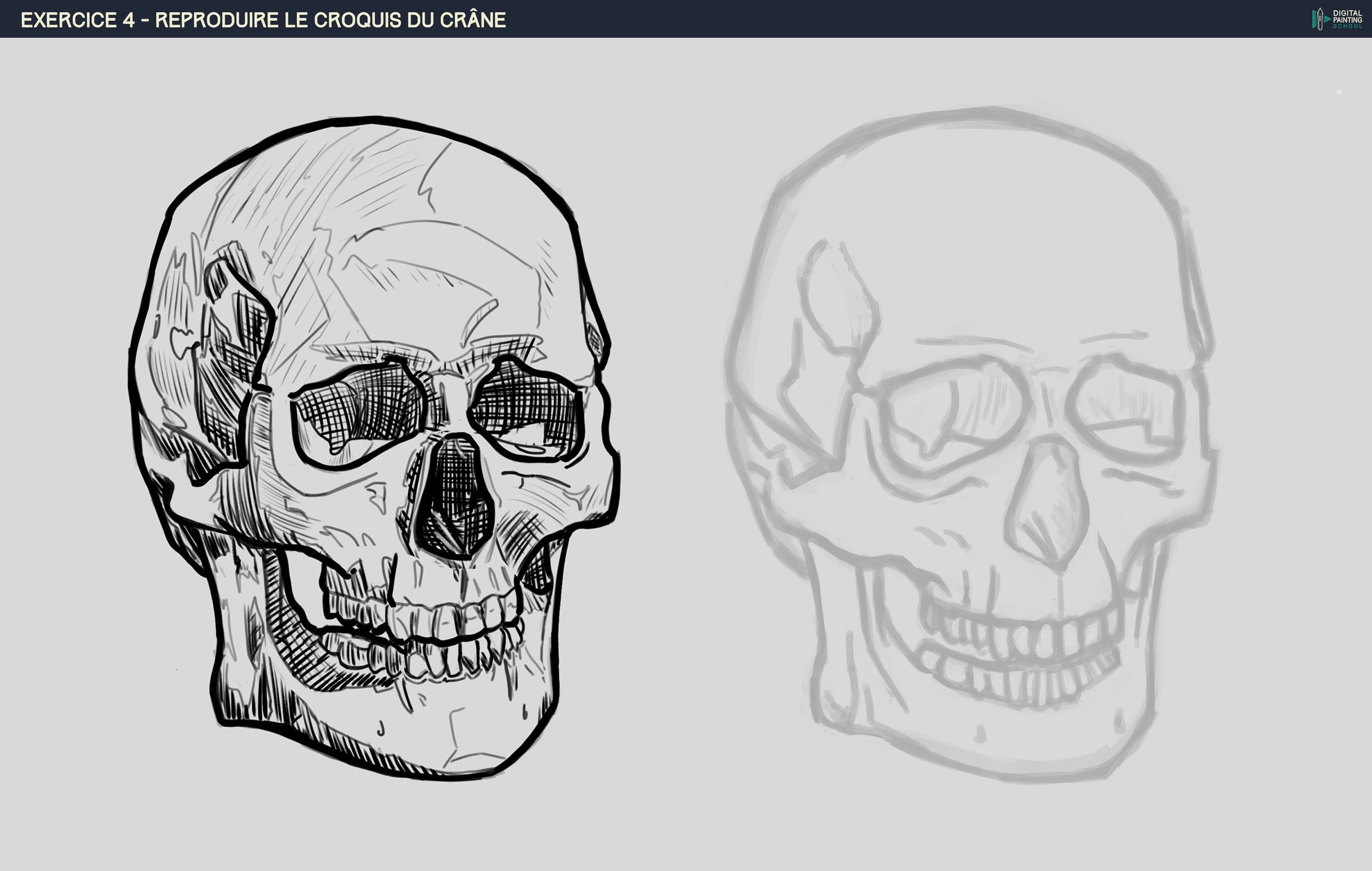 DPS-Prog-1-2-2-démo-crane-croquis grande étapes copie.jpg